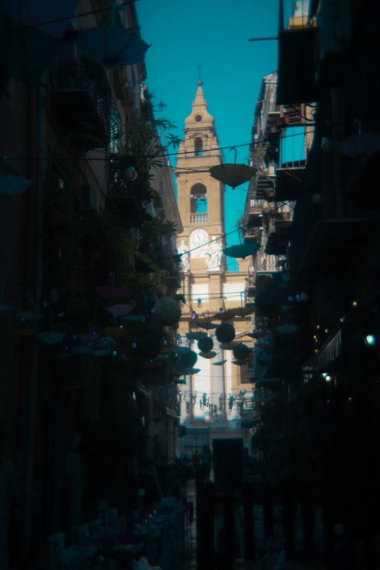 DSCF1145.jpg