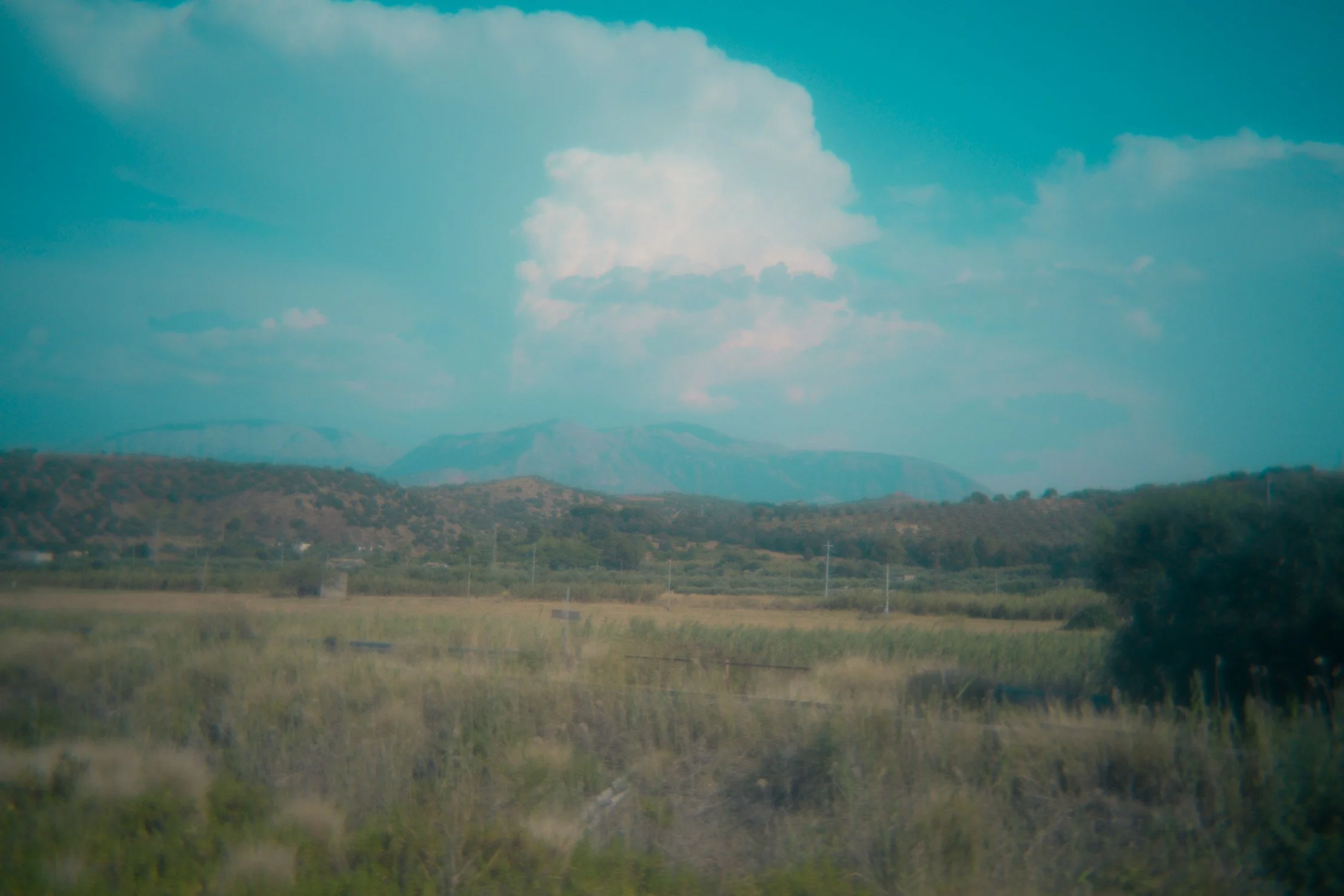 DSCF0869.jpg