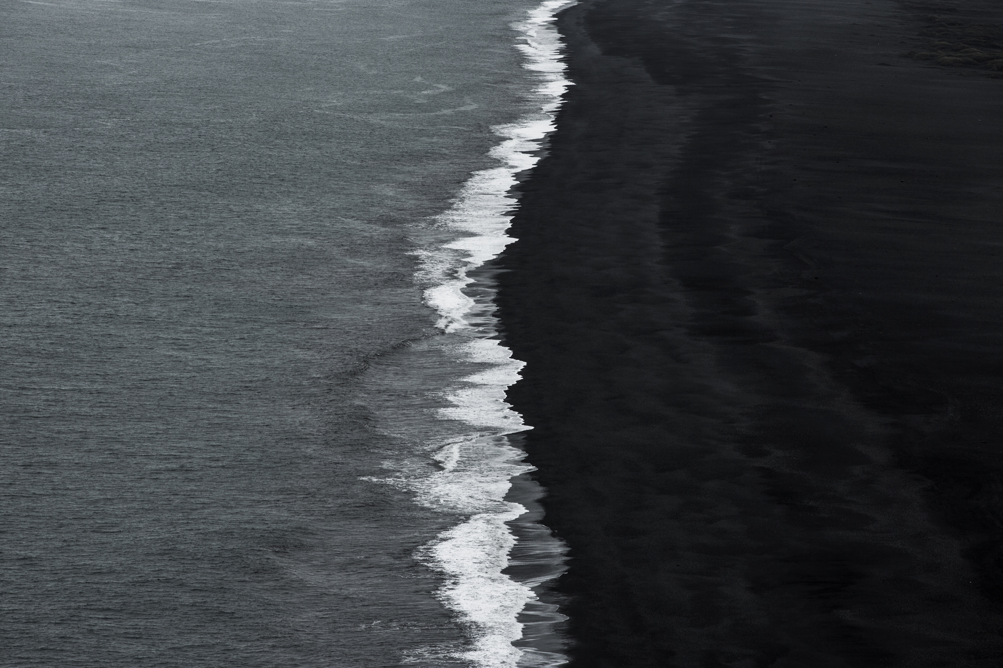 1B5A8679.jpg