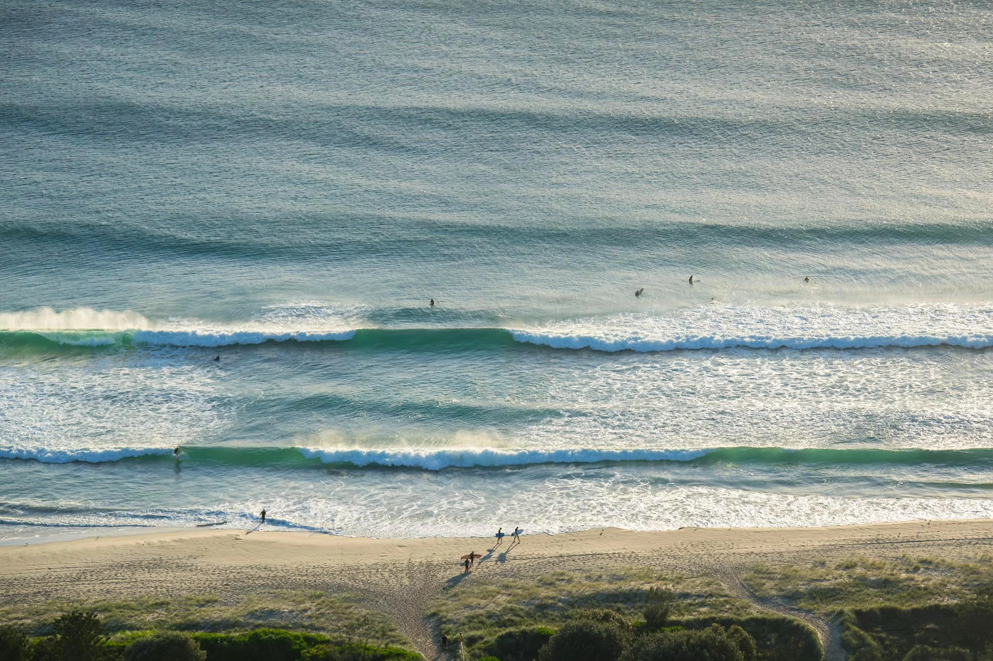 _DSC9286.jpg