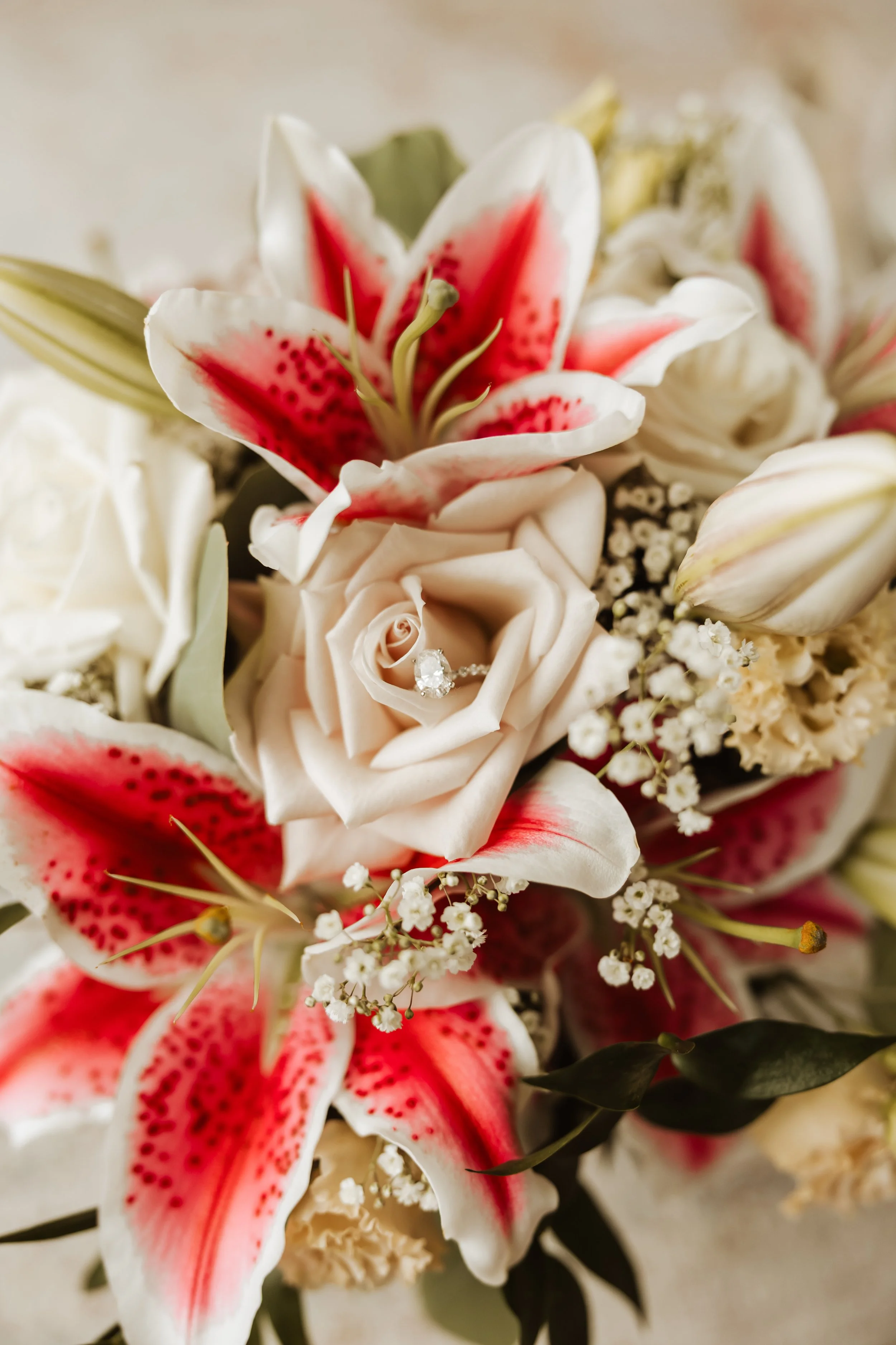 emilypaulsonphotography-0129.jpg