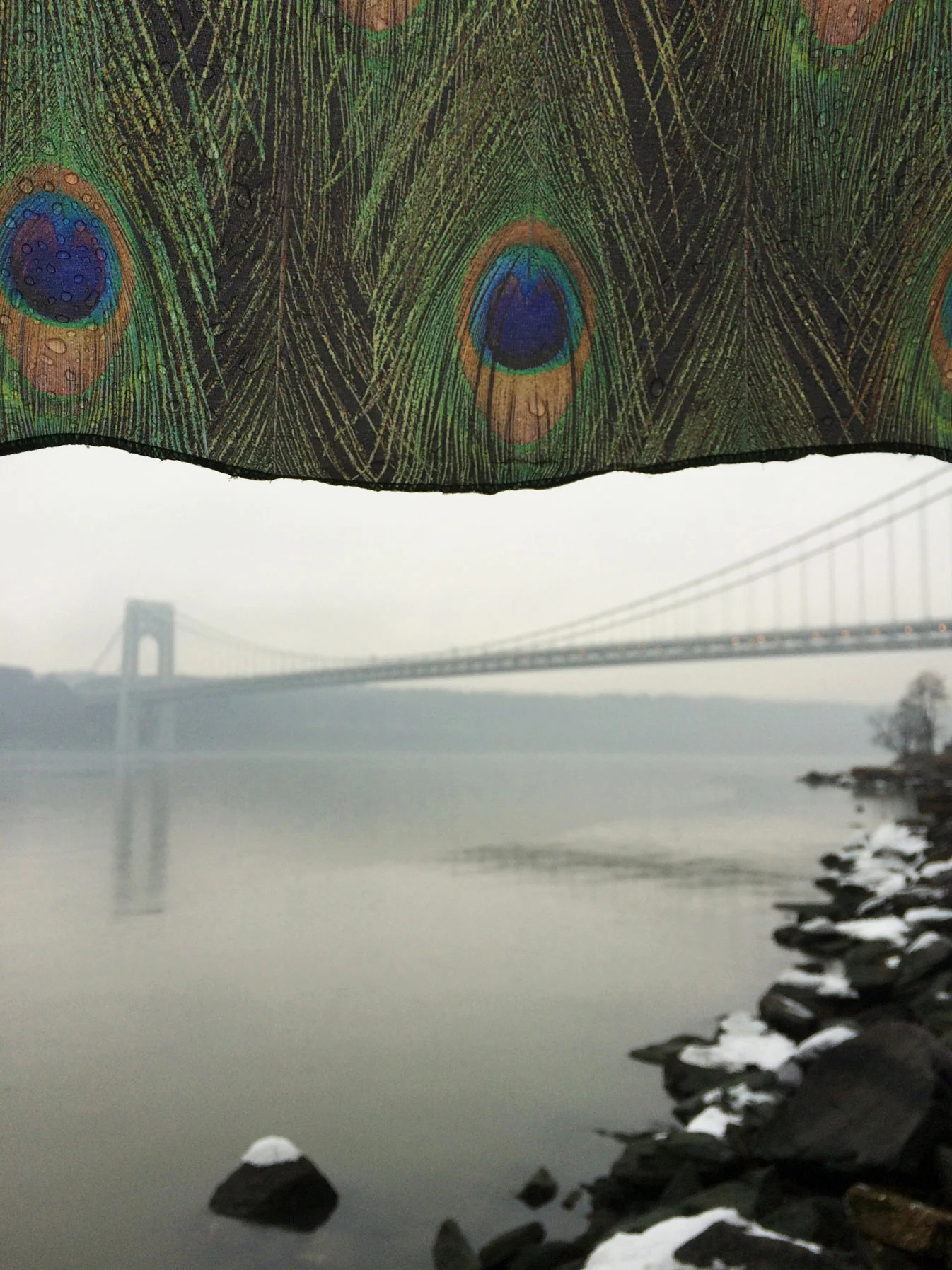 Peacock Umbrella | New York, NY | 2015 | Exhibited at the 9th Annual Juried Art Show at Riverviews Artspace in Lynchburg, VA from November 3rd thru December 15th, 2017