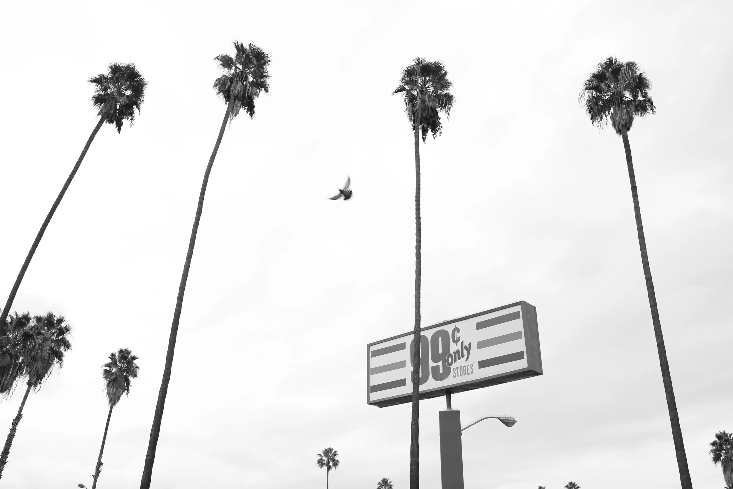 99 Cent Only | Los Angeles, CA | 2016