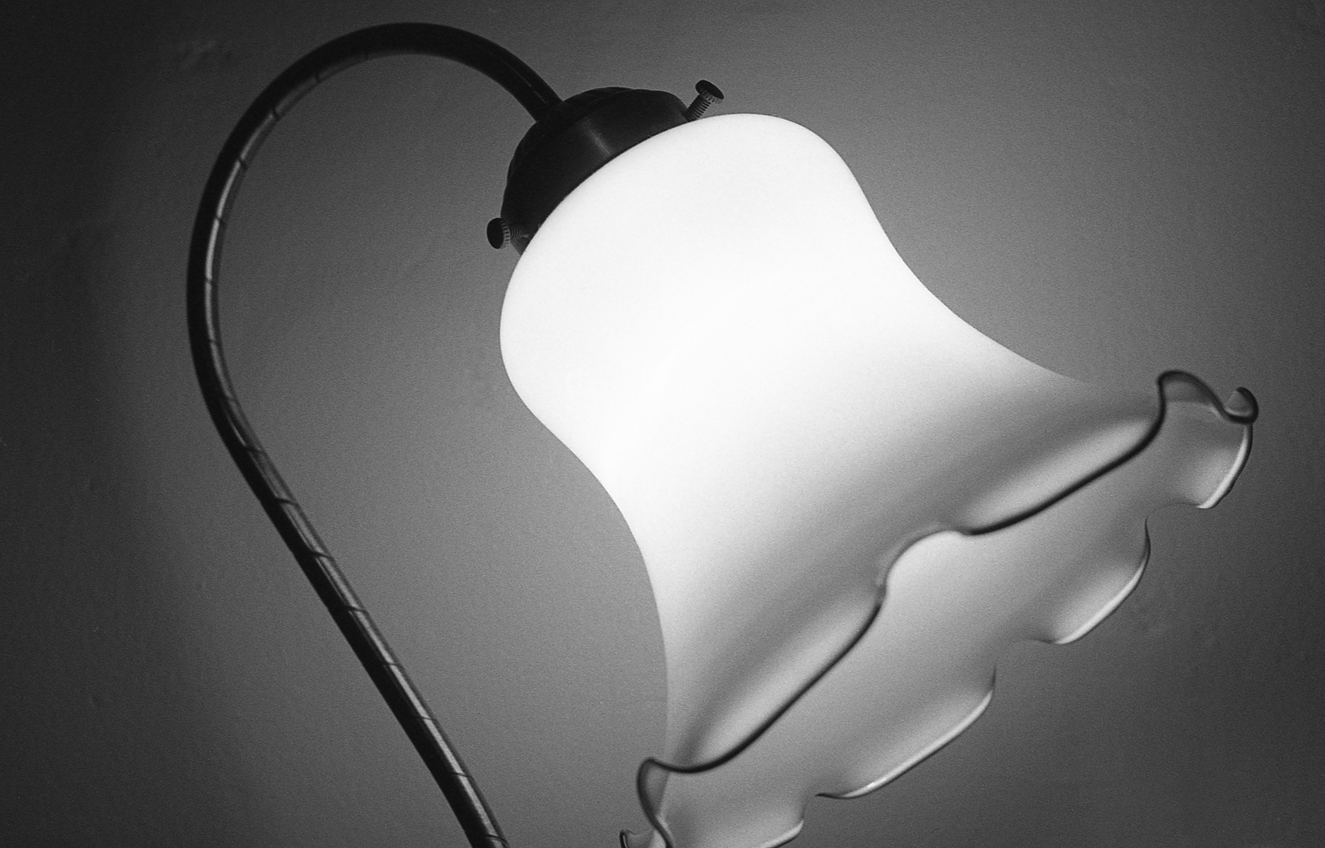 Flower Lamp | Springville, CA | 1989