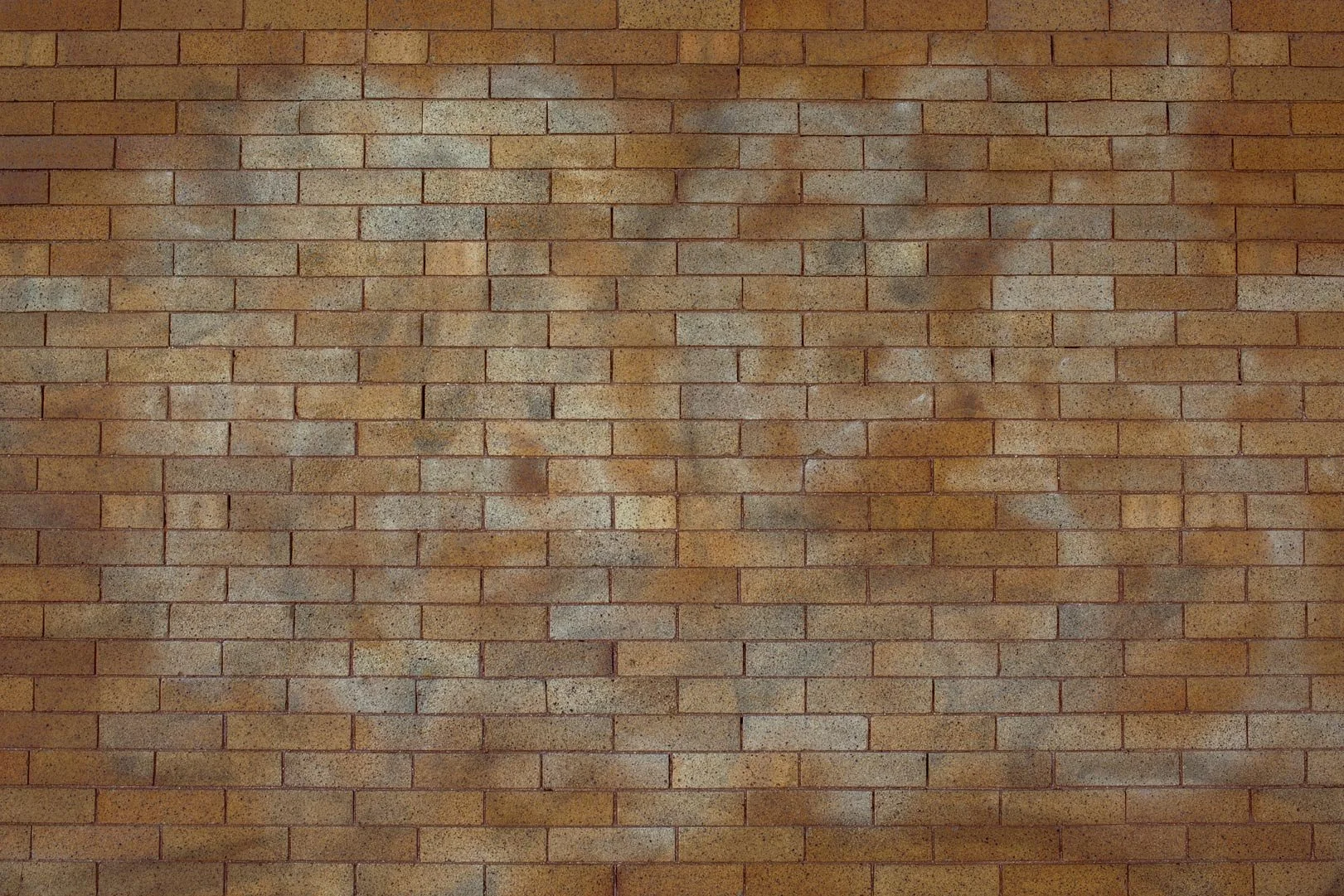 The Brick Nebula | Baltimore, MD | 2022