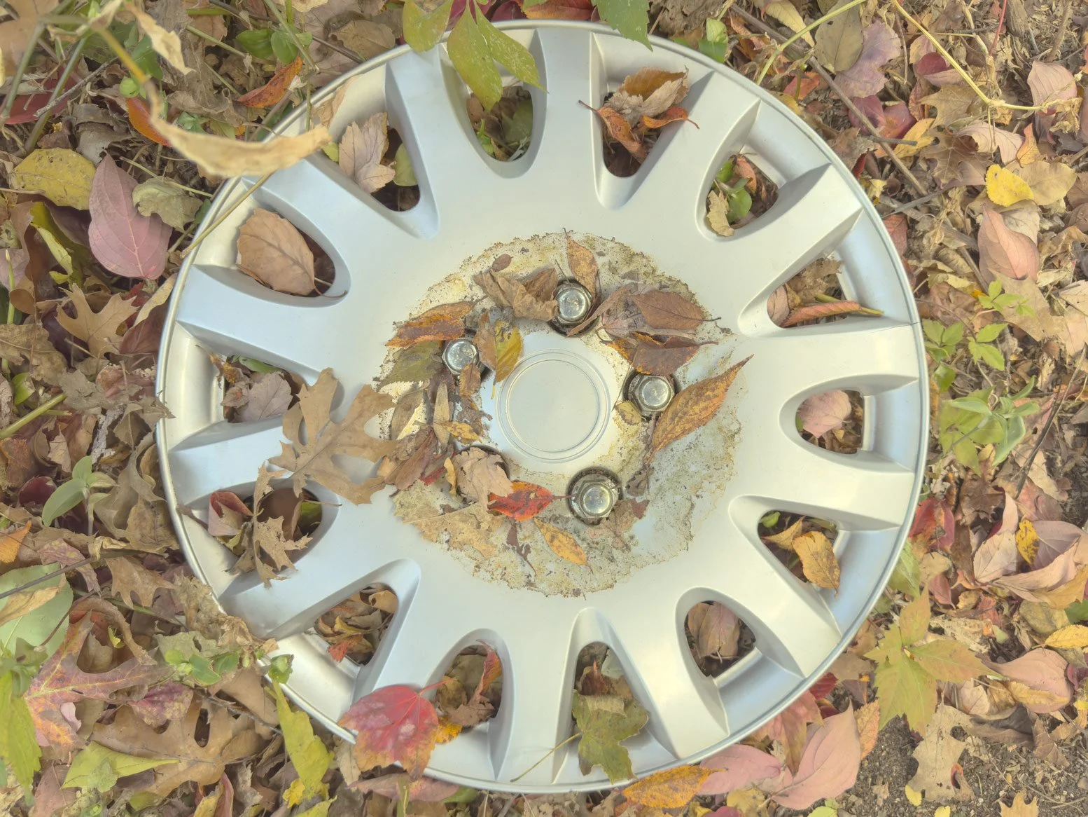 Hubcap | Baltimore, MD | 2025