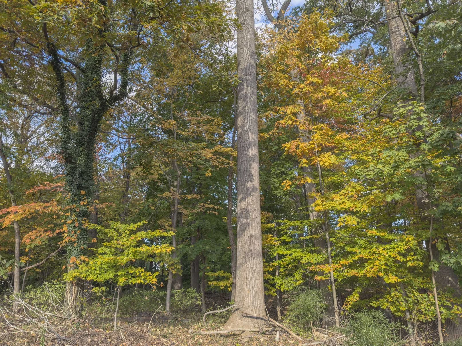 Good Morning | Baltimore, MD | 2025