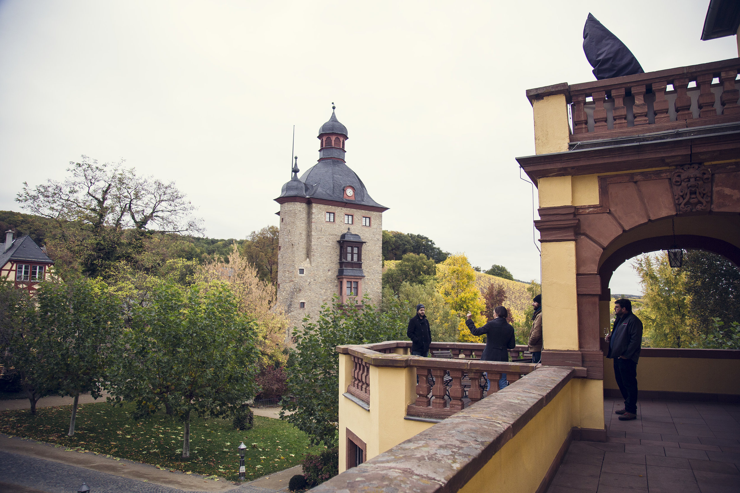 Vignoble Schloss Vollrads 