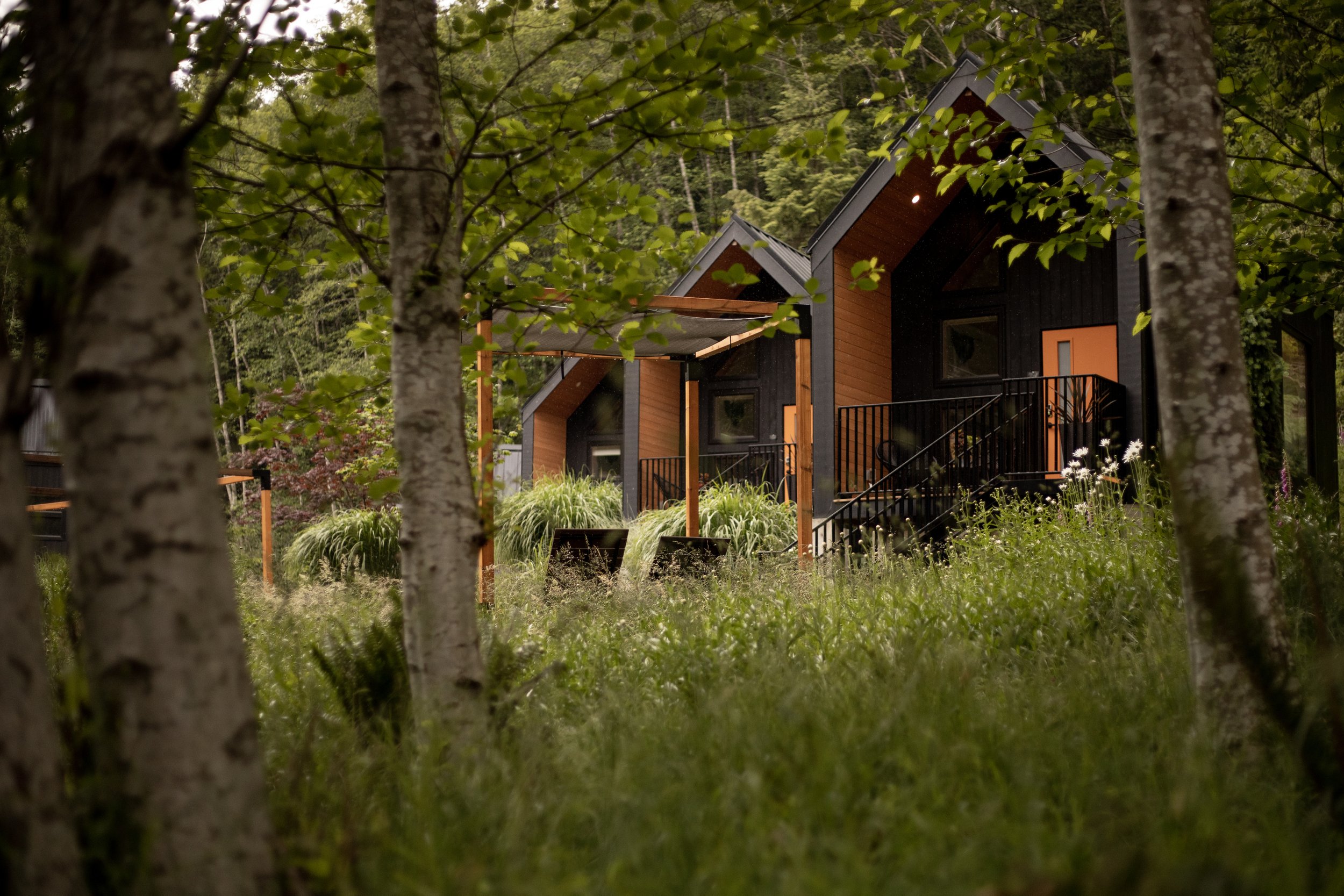 Nectar Yoga Forest View Deluxe Cottages Exterior Vancouver British Columbia 06_2023 @abbydellphotography.jpg