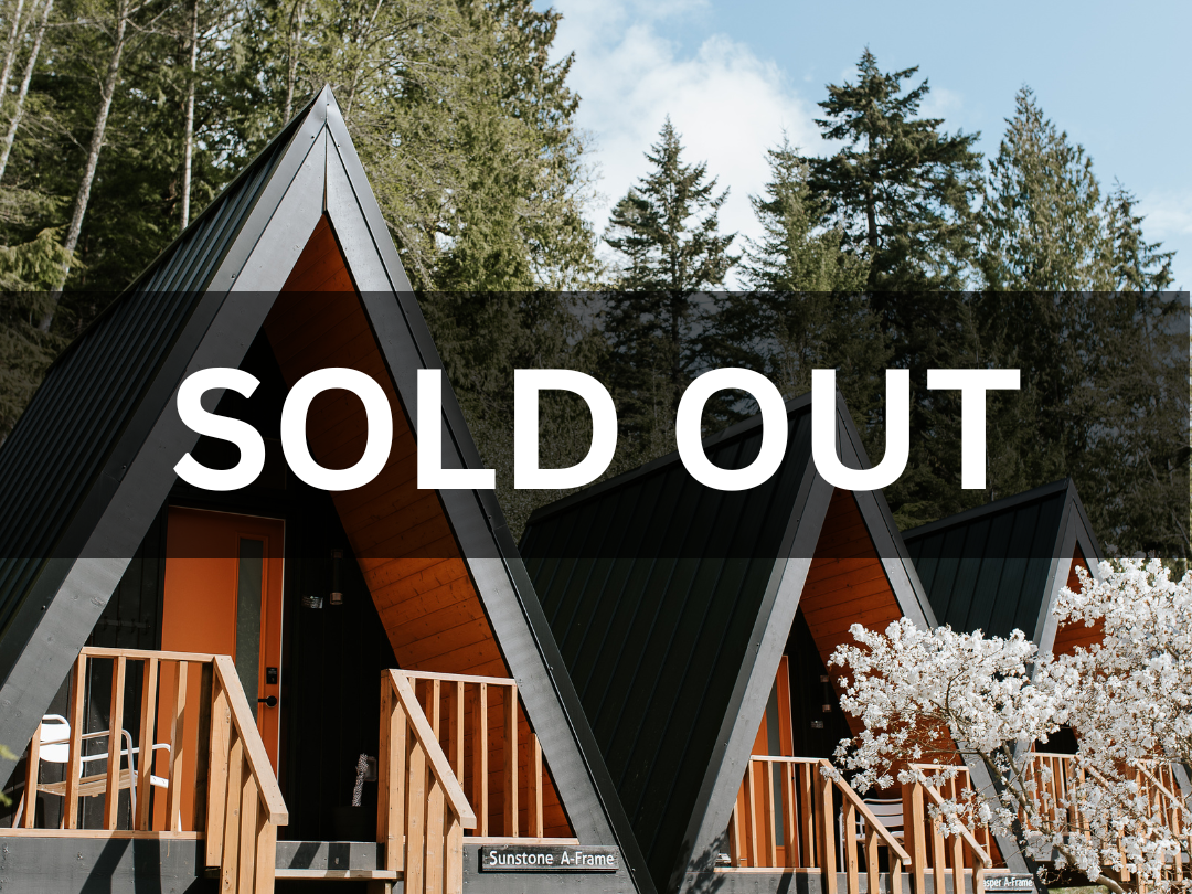 SOLD+OUT+%2818%29.png