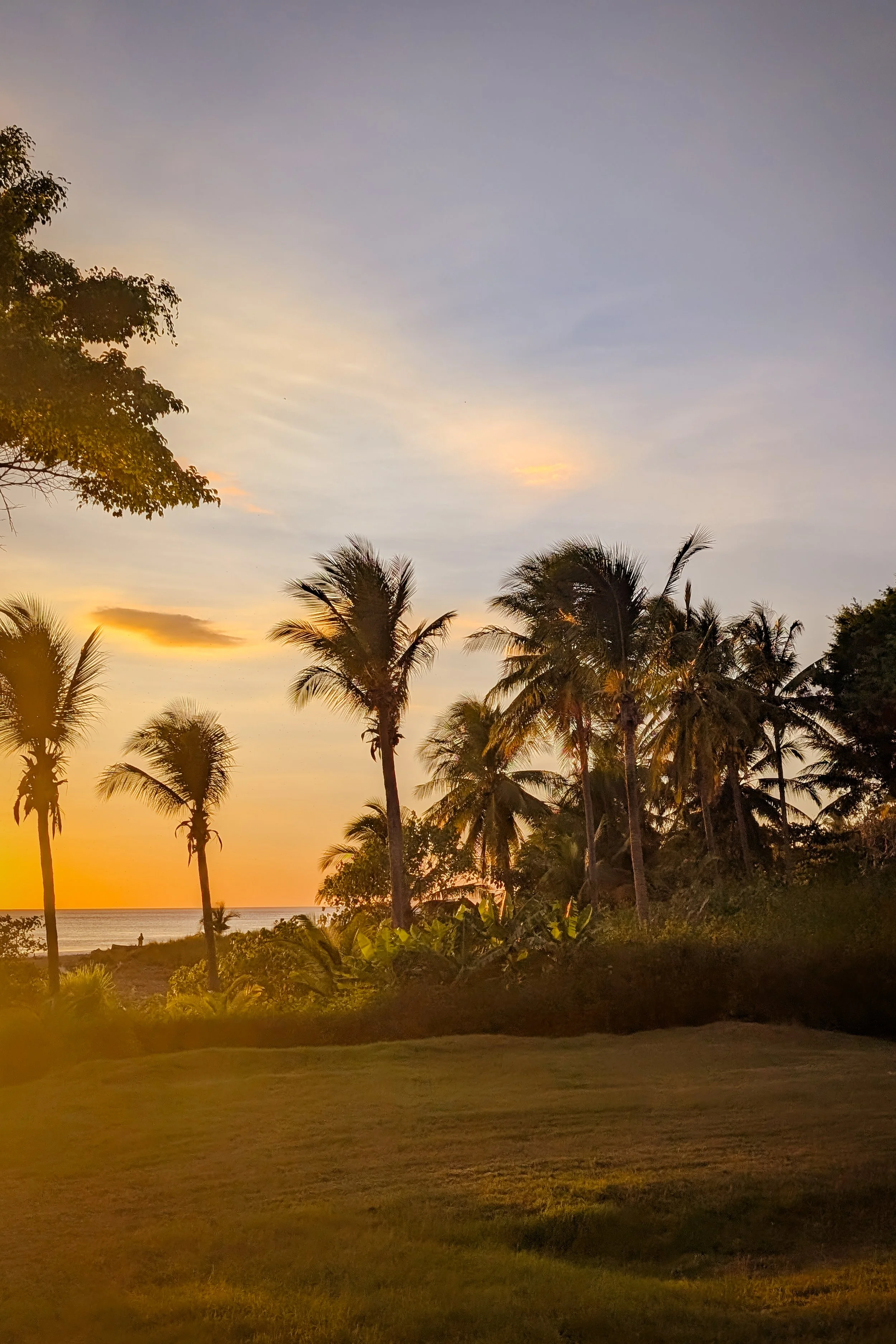 EVOLVE_CostaRica2026-29.jpg