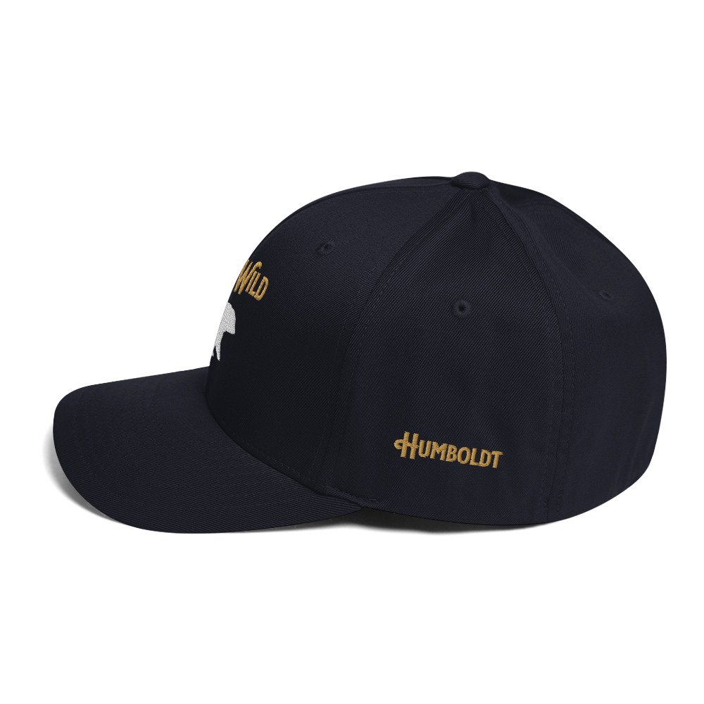 closed-back-structured-cap-dark-navy-left-side-680400255e105.jpg