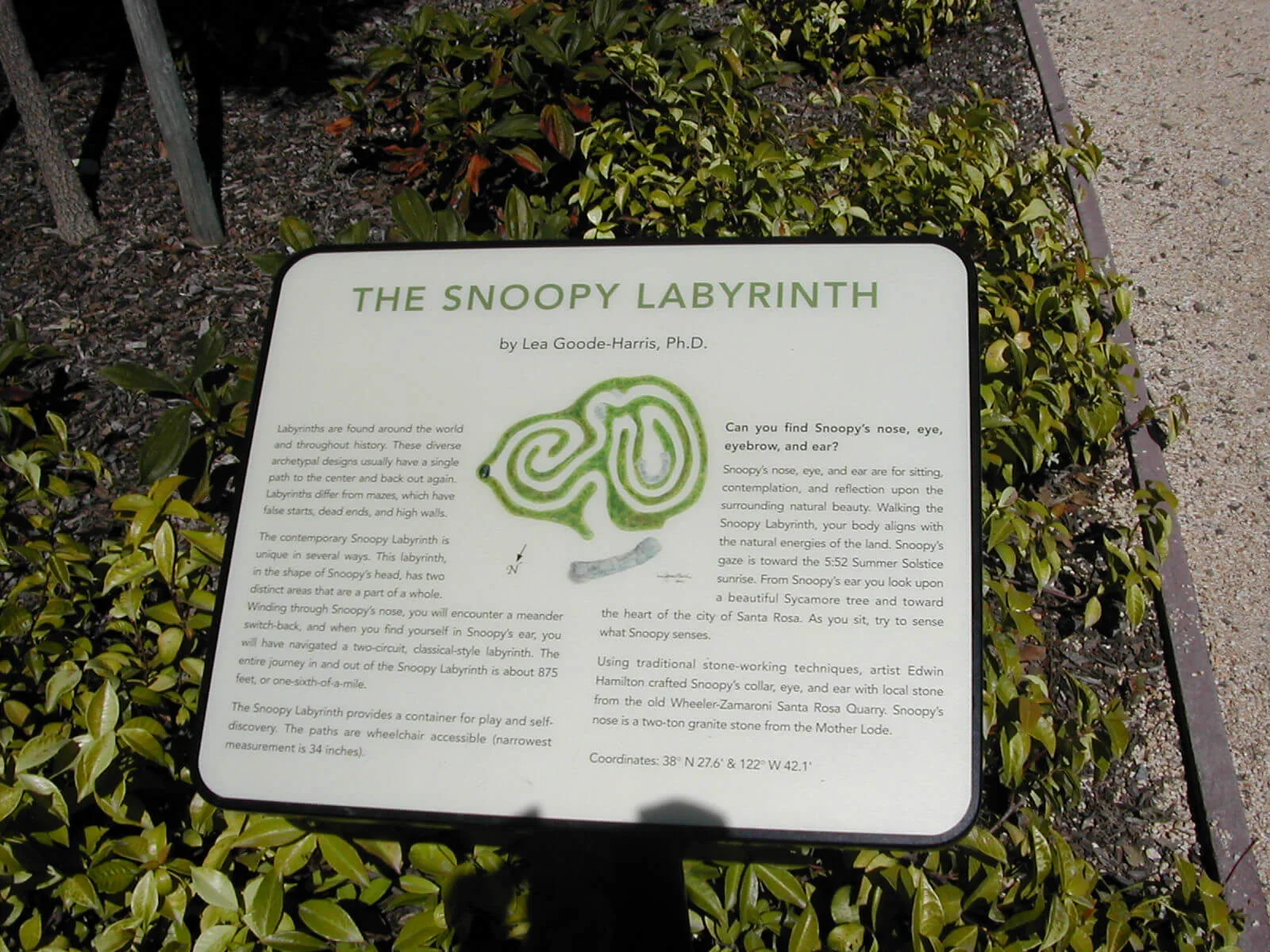 snoopy11.jpg