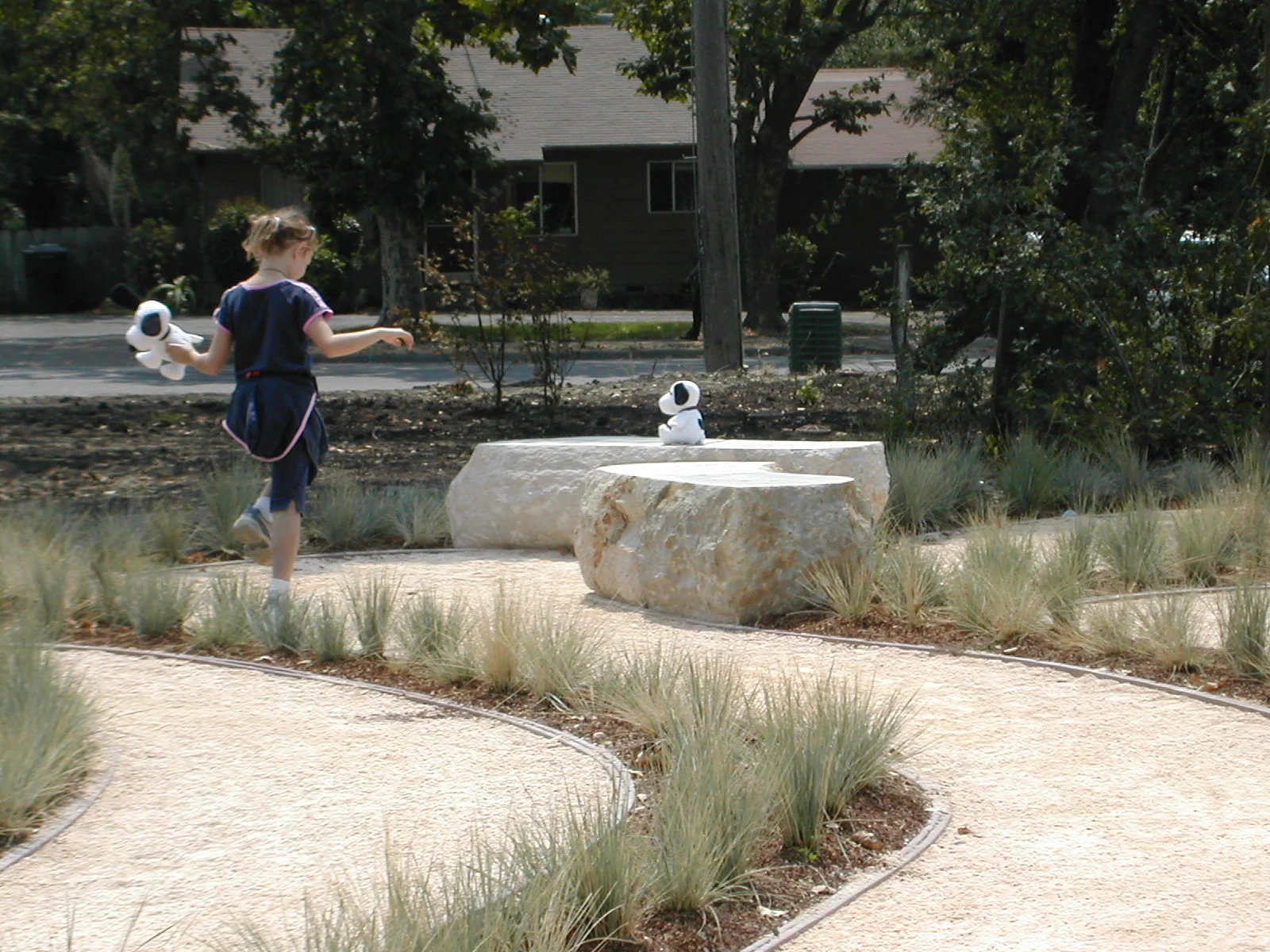 DSCN0376.jpg