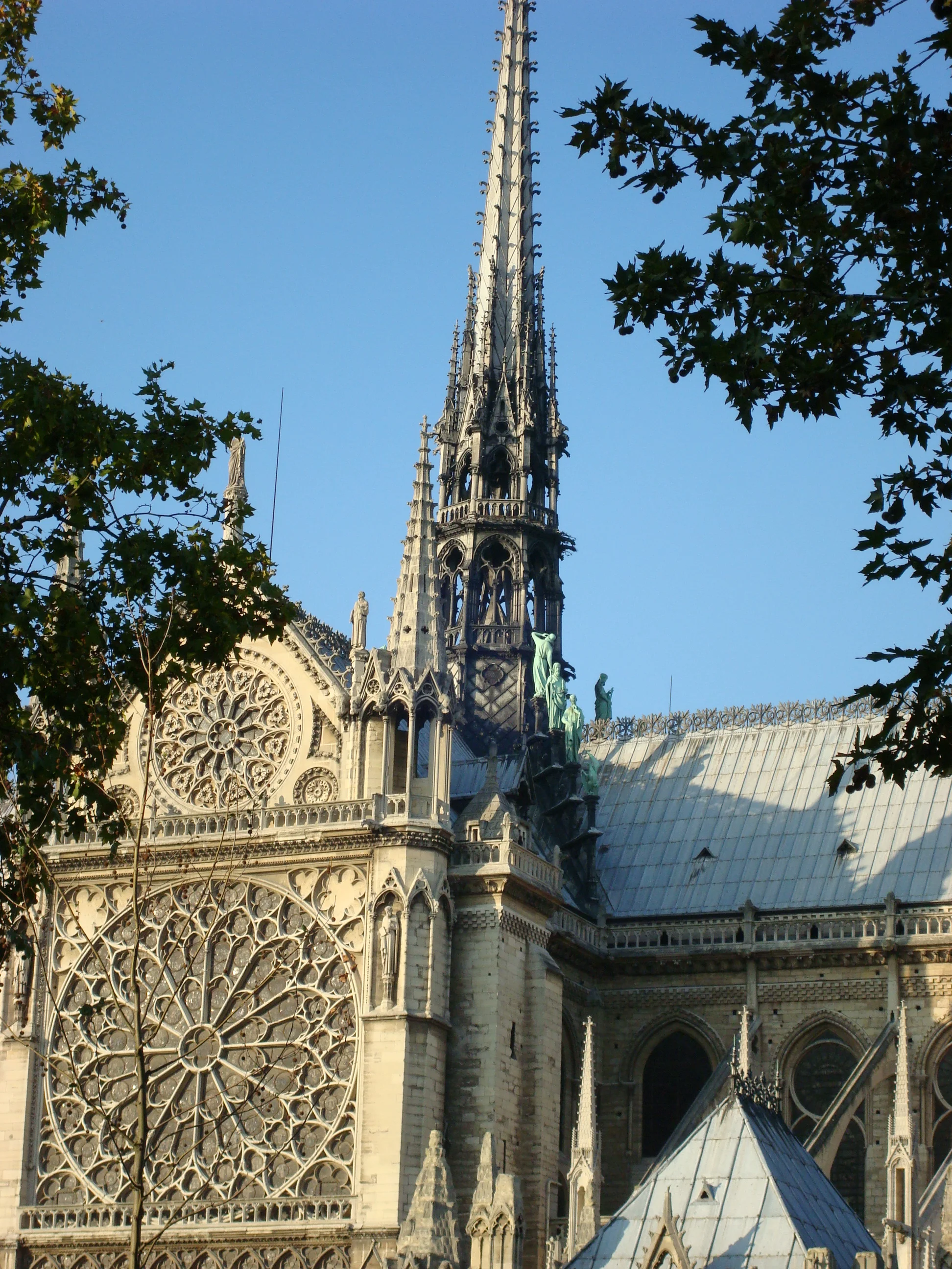 DSC02407.jpg