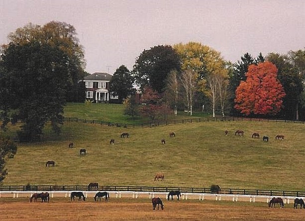 Picture1.jpg