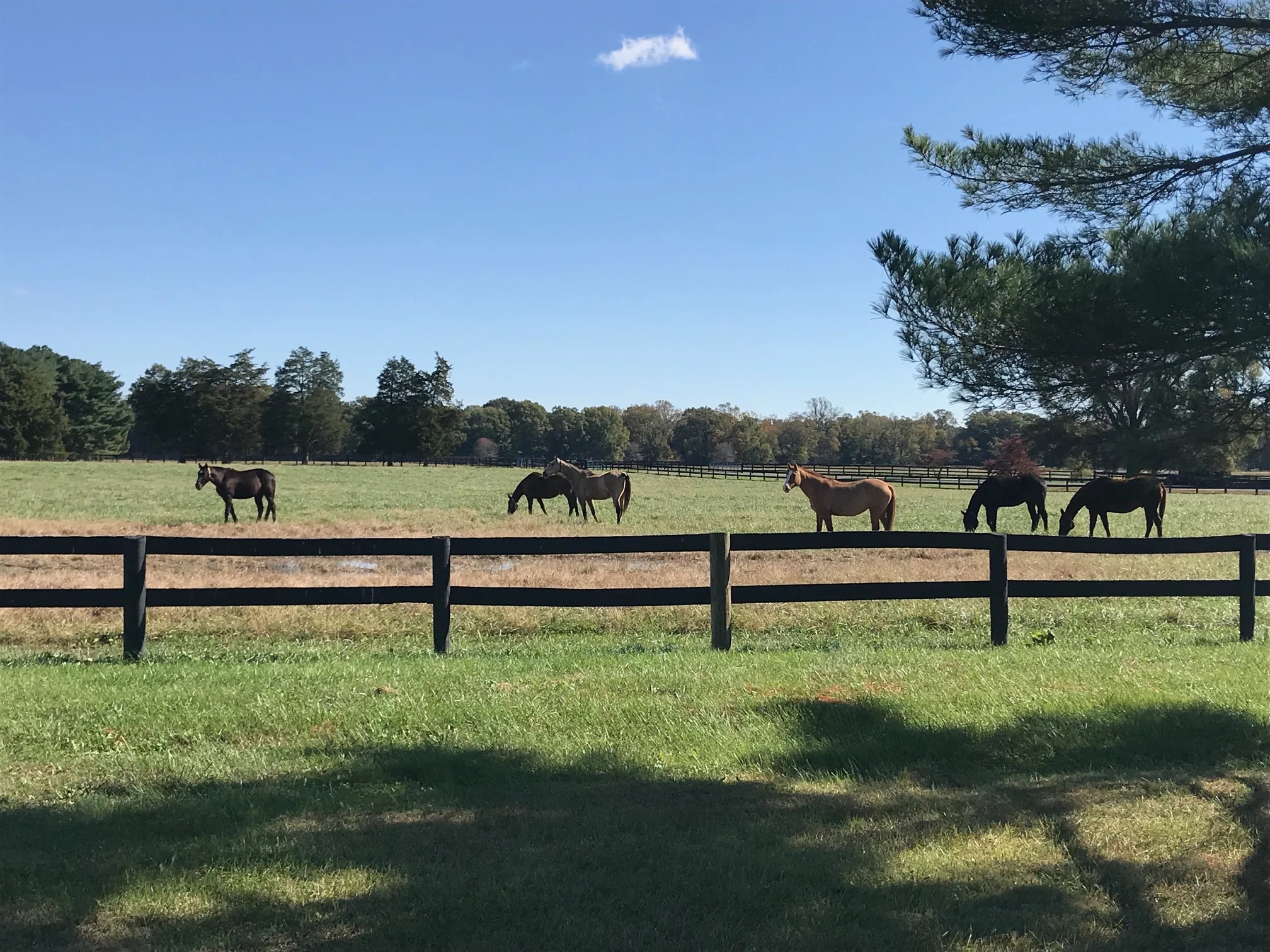 Boarding — Powhatan Plantation