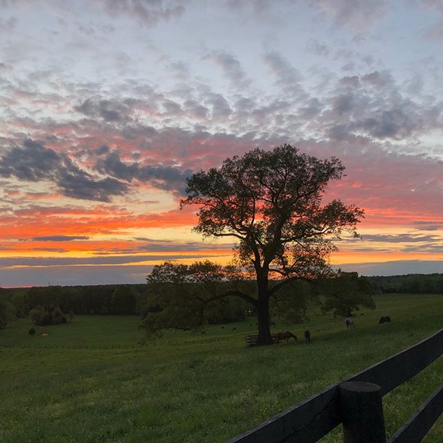 Sunset Easter Sunday over @powhatanplantation