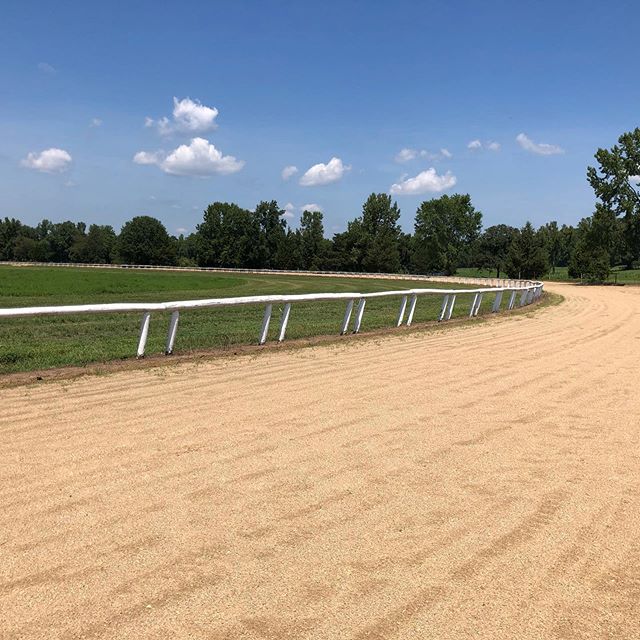 Sprucing yo our track by taking the irrigation pipe down and painting the rail white. @powhatanplantation #improvements #farmlife #3/4miletrack #farmtradition