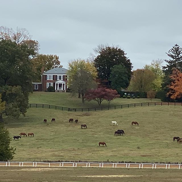 Fall has come @powhatanplantation