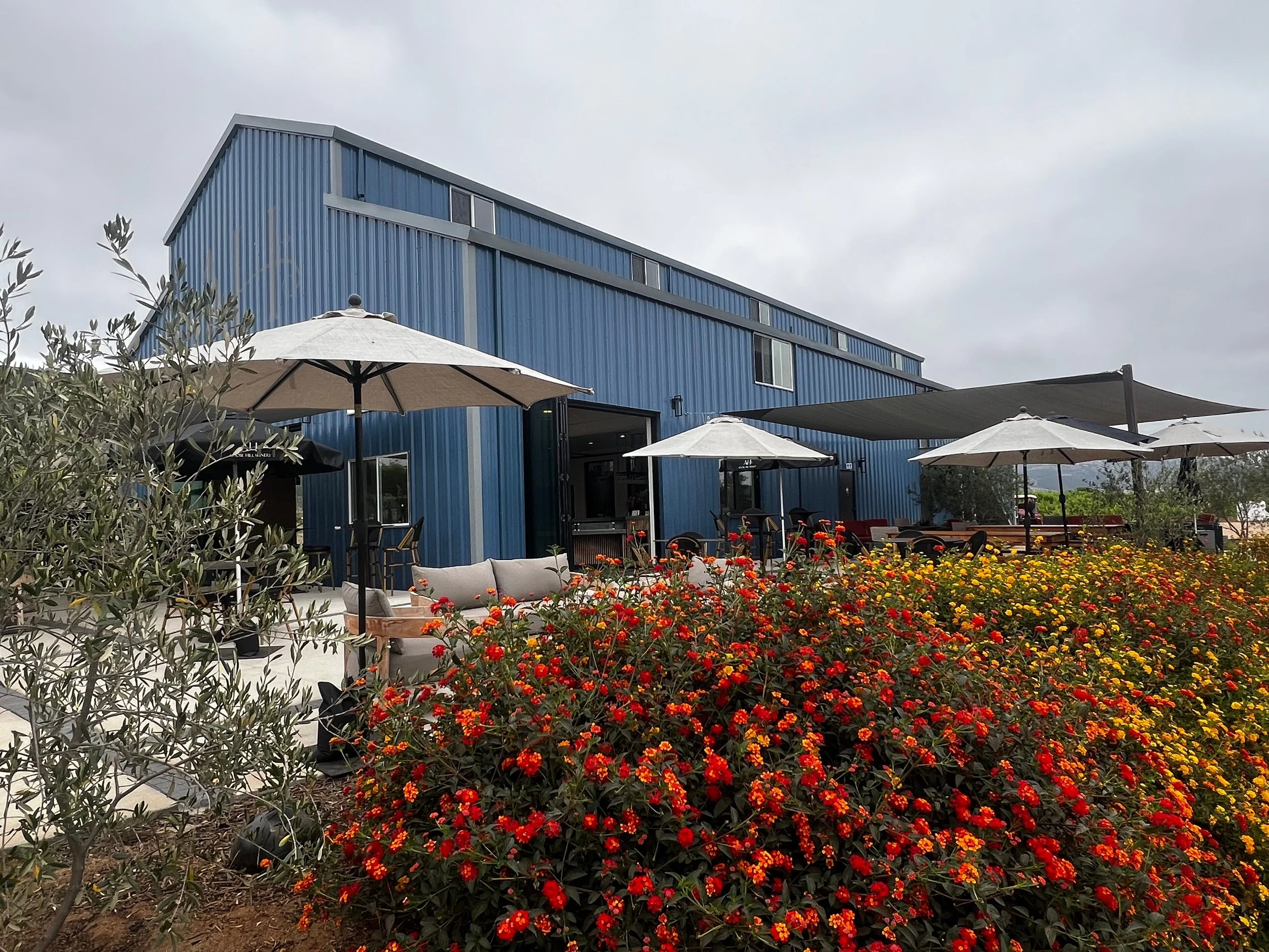 Building Beauty in the Hills: Adobe Hill Winery’s Story