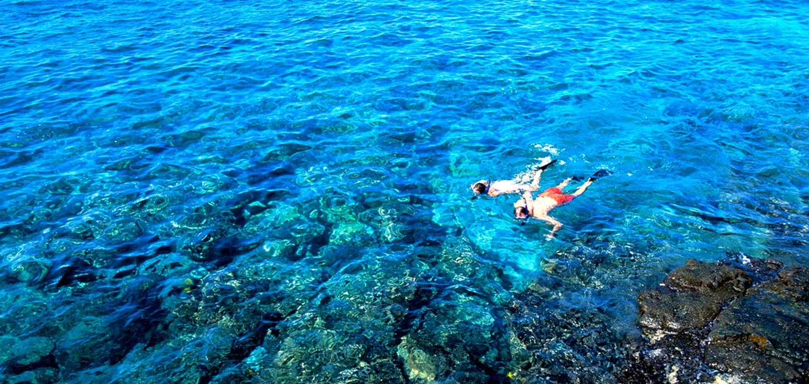 Snorkeling-Tour-2-R.jpg