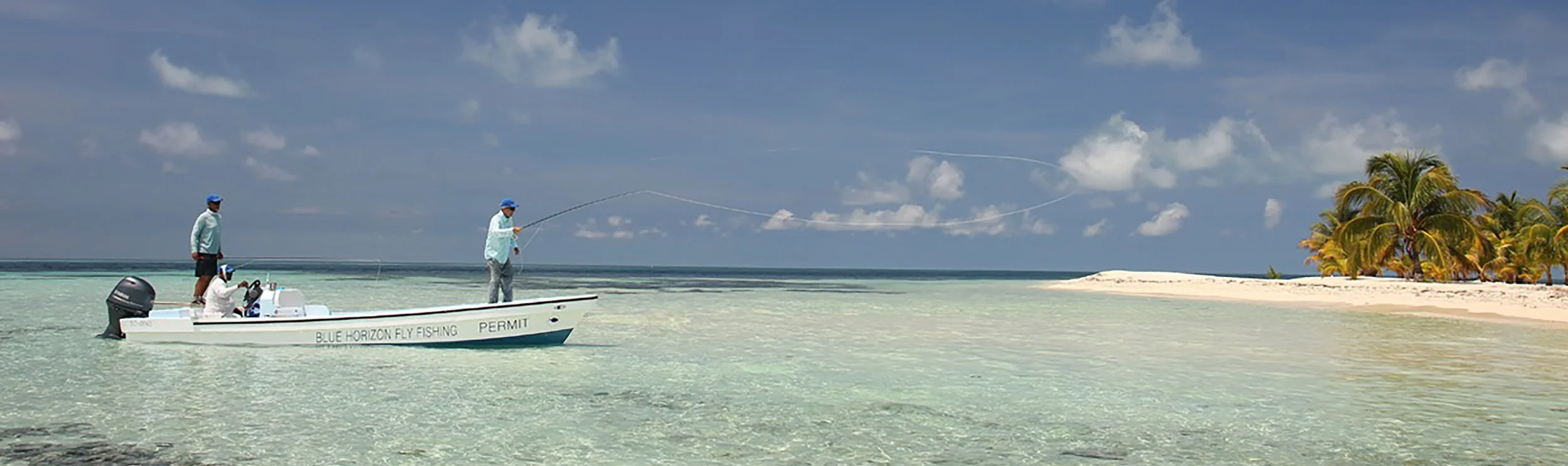 T Cay GR 11 72 1200.jpg