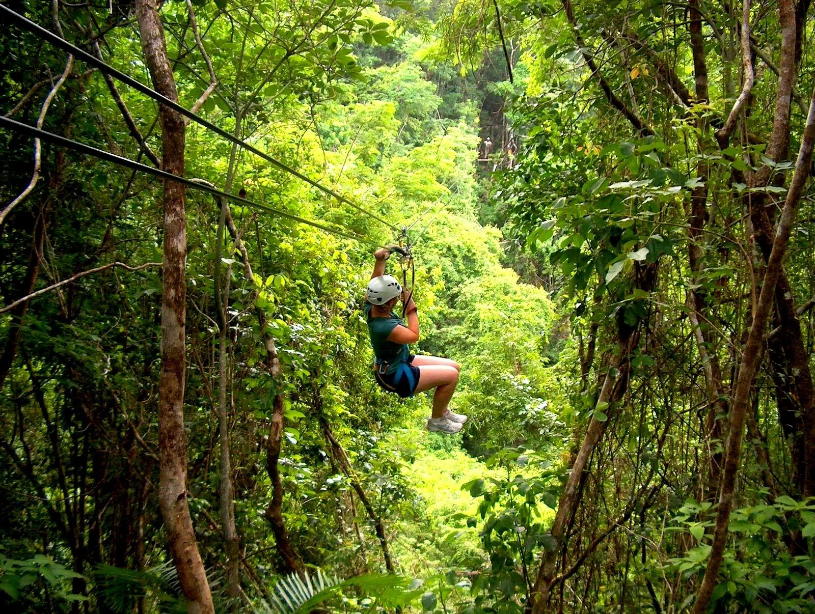 zip line.jpg