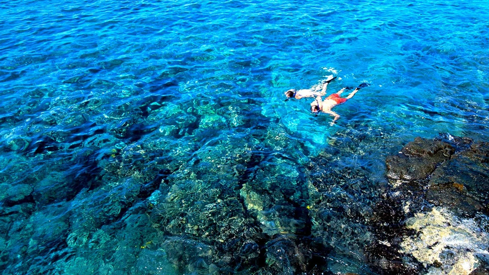 Snorkeling-Tour-2-R.jpg