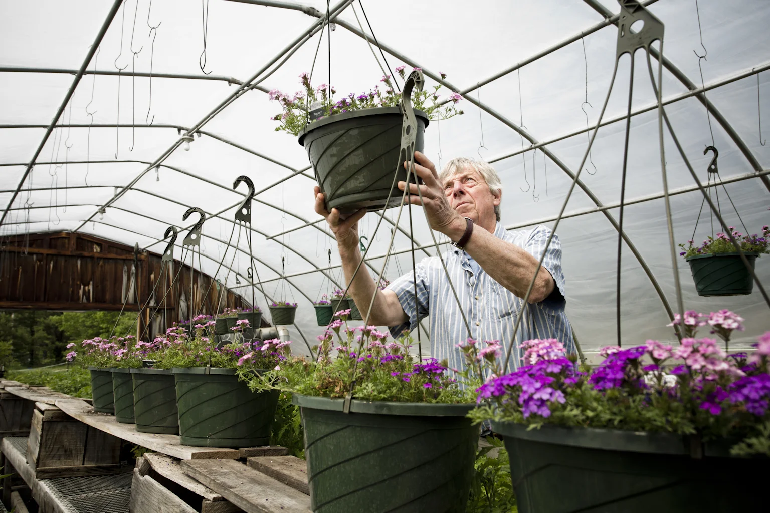 130607_WHY_ME_RipplingWatersFarm_170.jpg