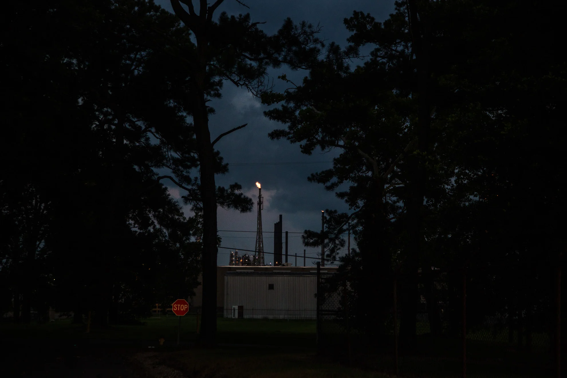 150601_Petro Histories_Standard Heights_0279.jpg