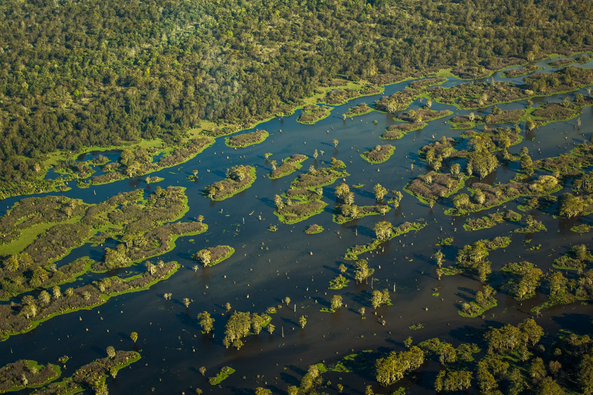 151114_Baton Rouge_Aerial004.jpg