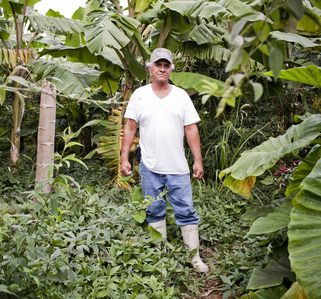 Vida Verde Farms: Homestead, FL