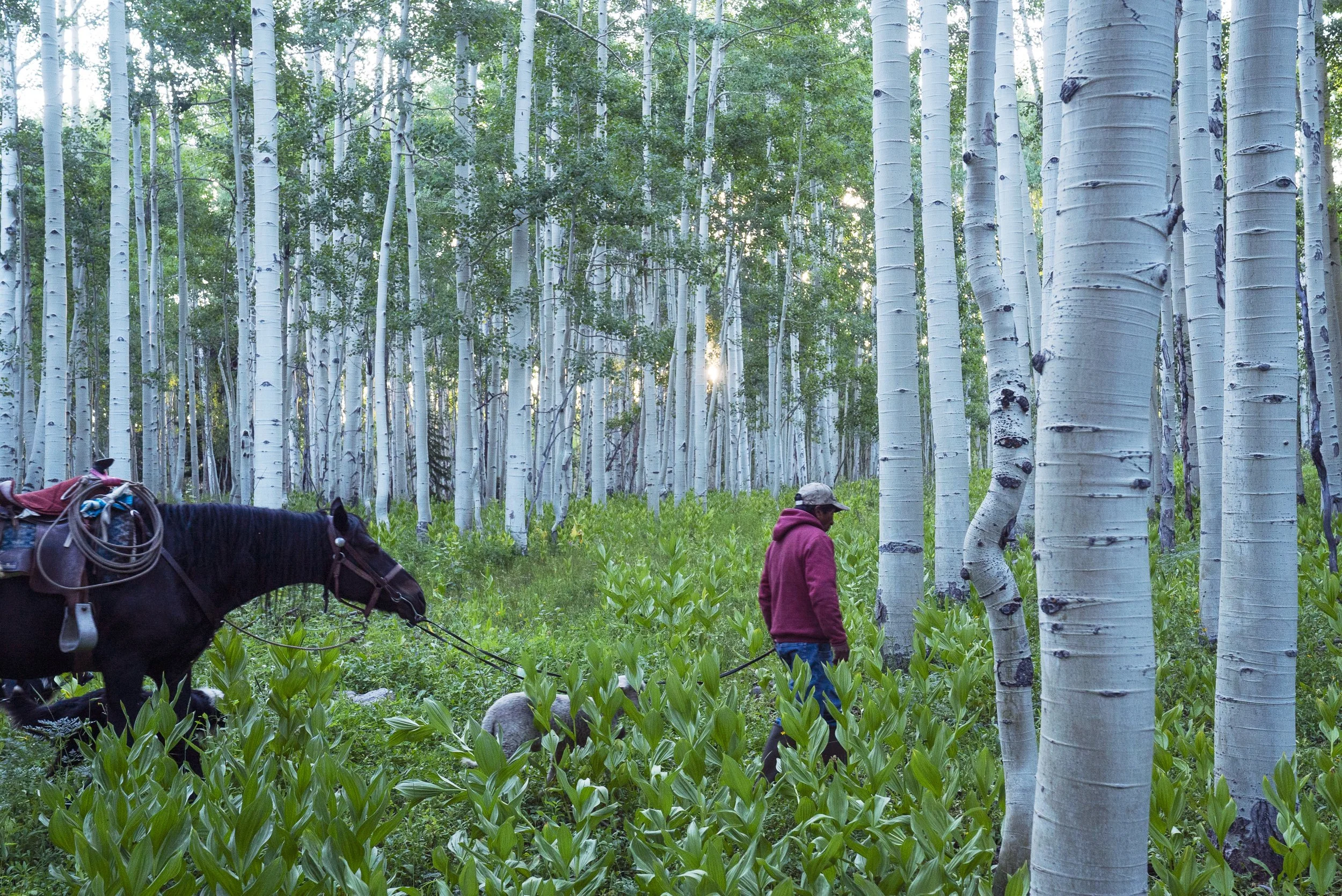 230723_Modesto-Upper Co River Basin_0439.jpg