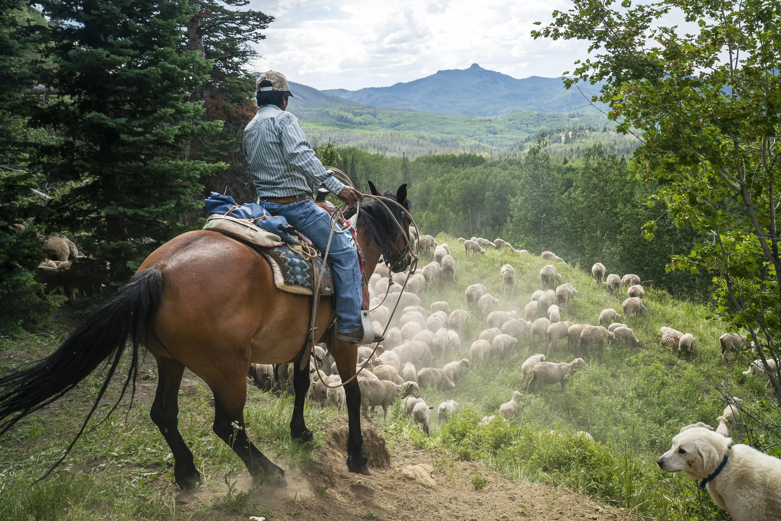 230723_Modesto-Upper Co River Basin_0147.jpg