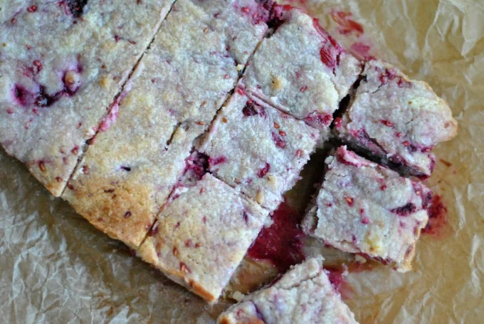 blondies-2.jpg.jpg