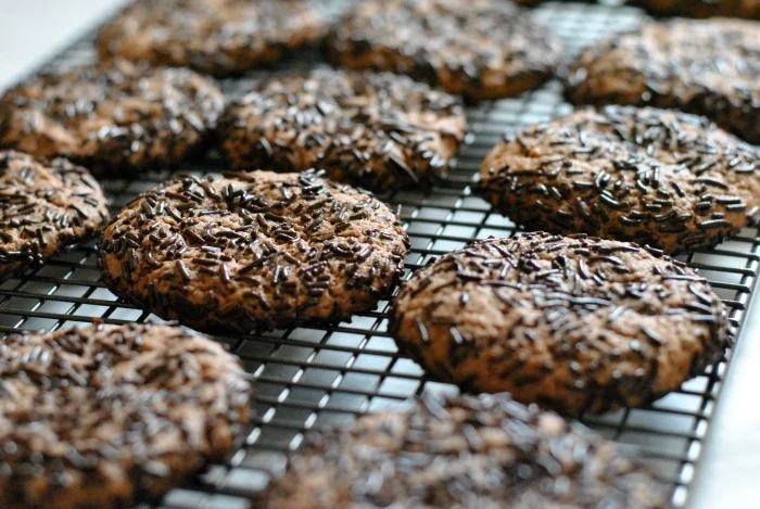 chocolate-sprinkle-cookies-2.jpg