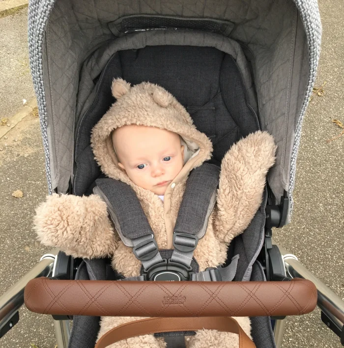 Ben-bear.jpg