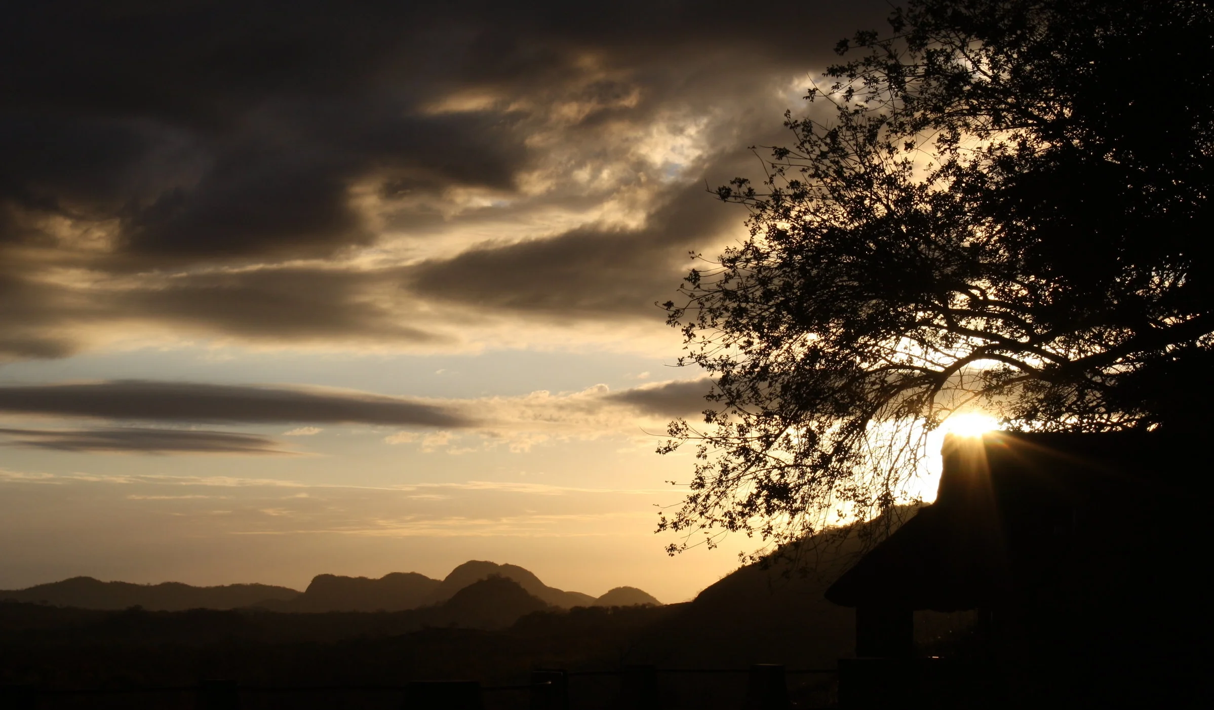 Black Death on the Rocks