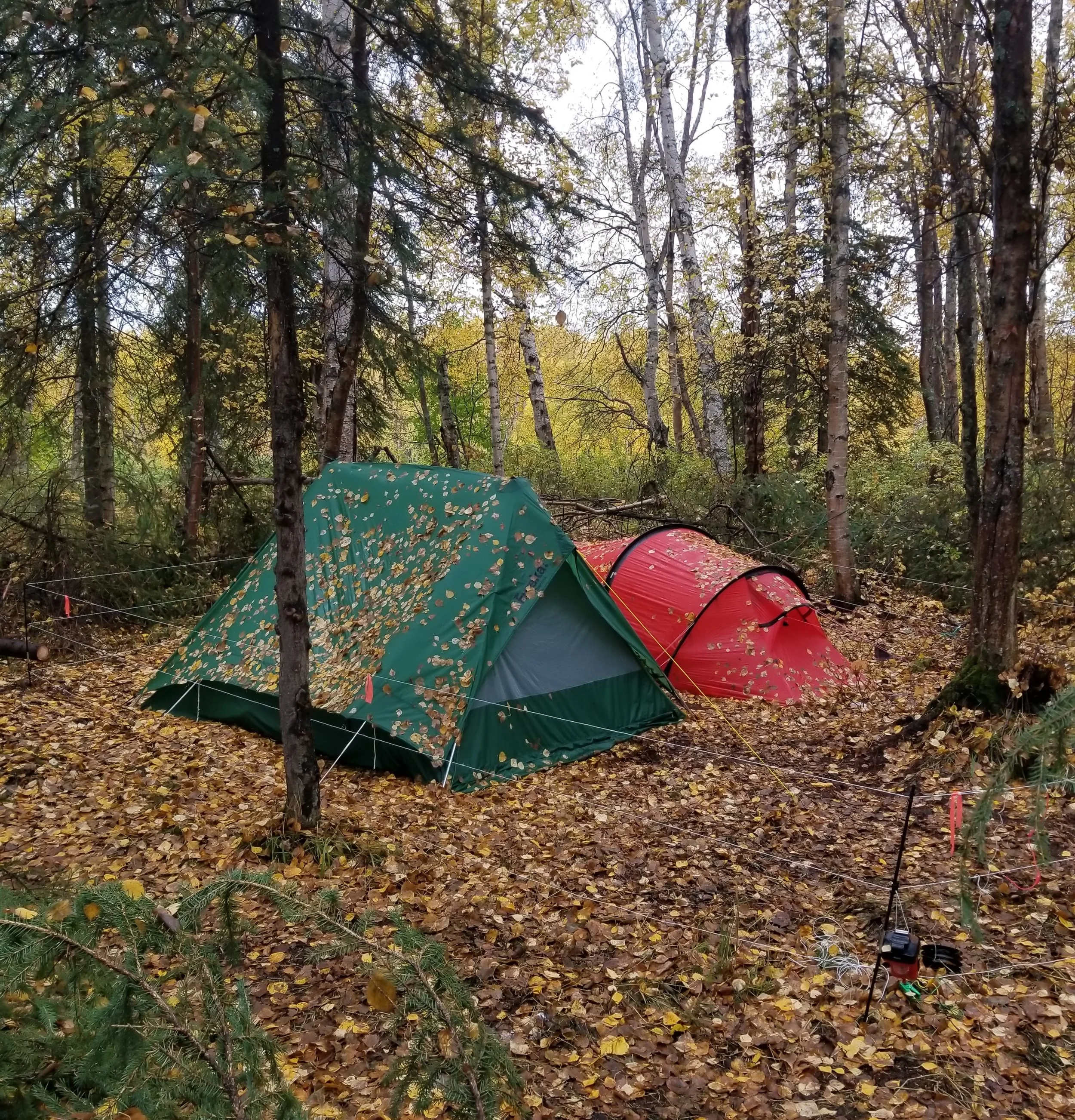 20180916_181725.jpg