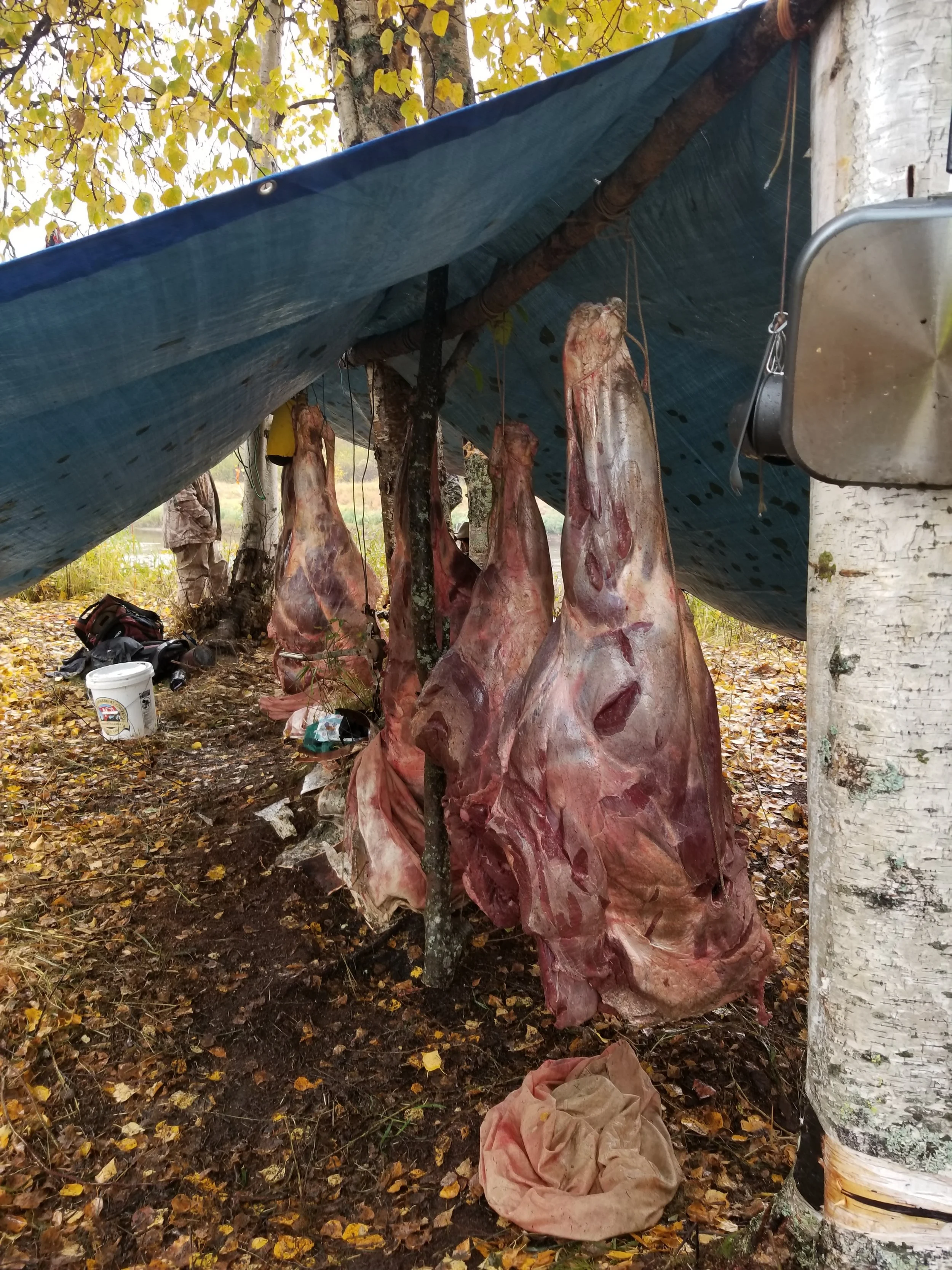 20180920_184334.jpg