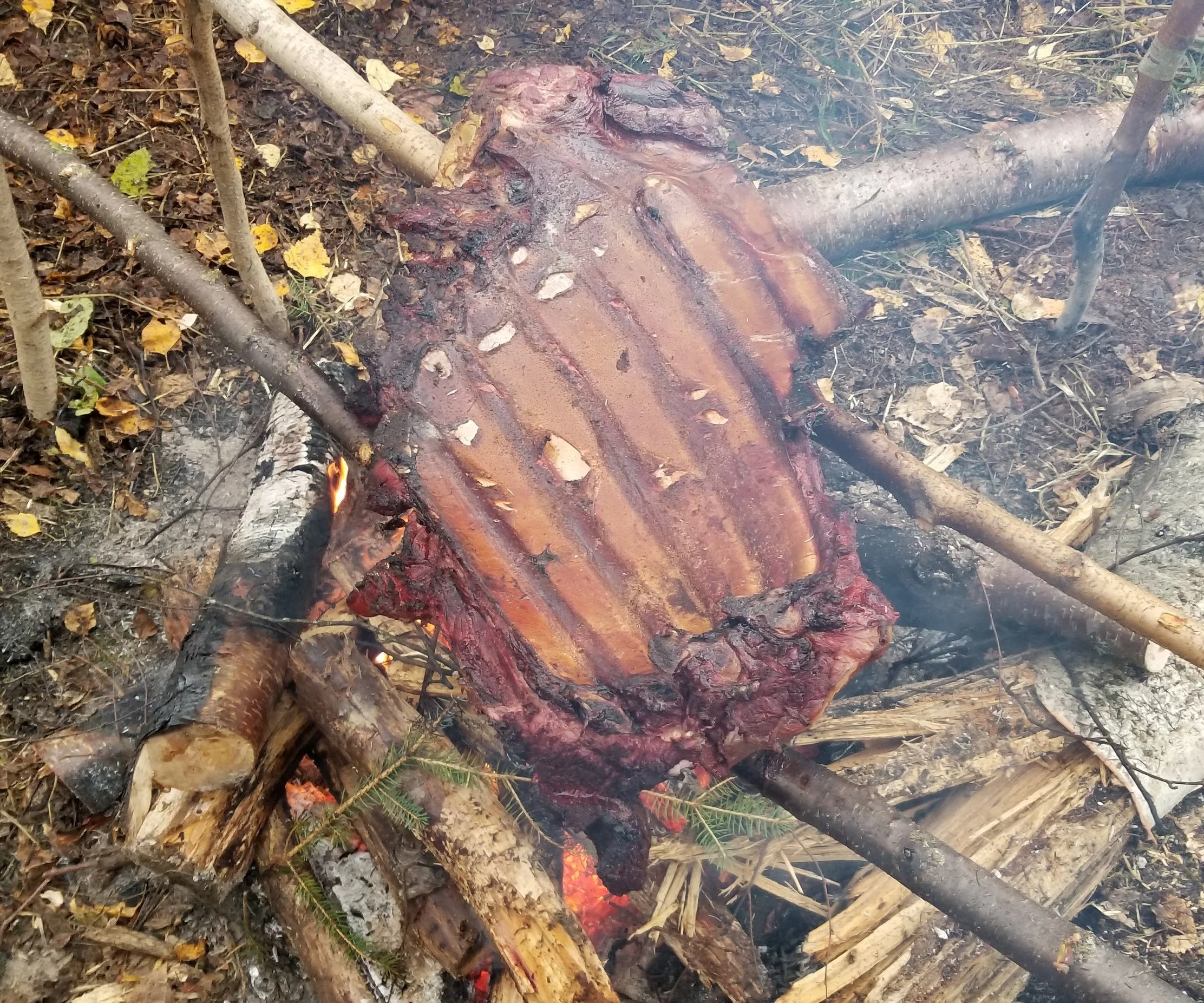 20180921_225004.jpg