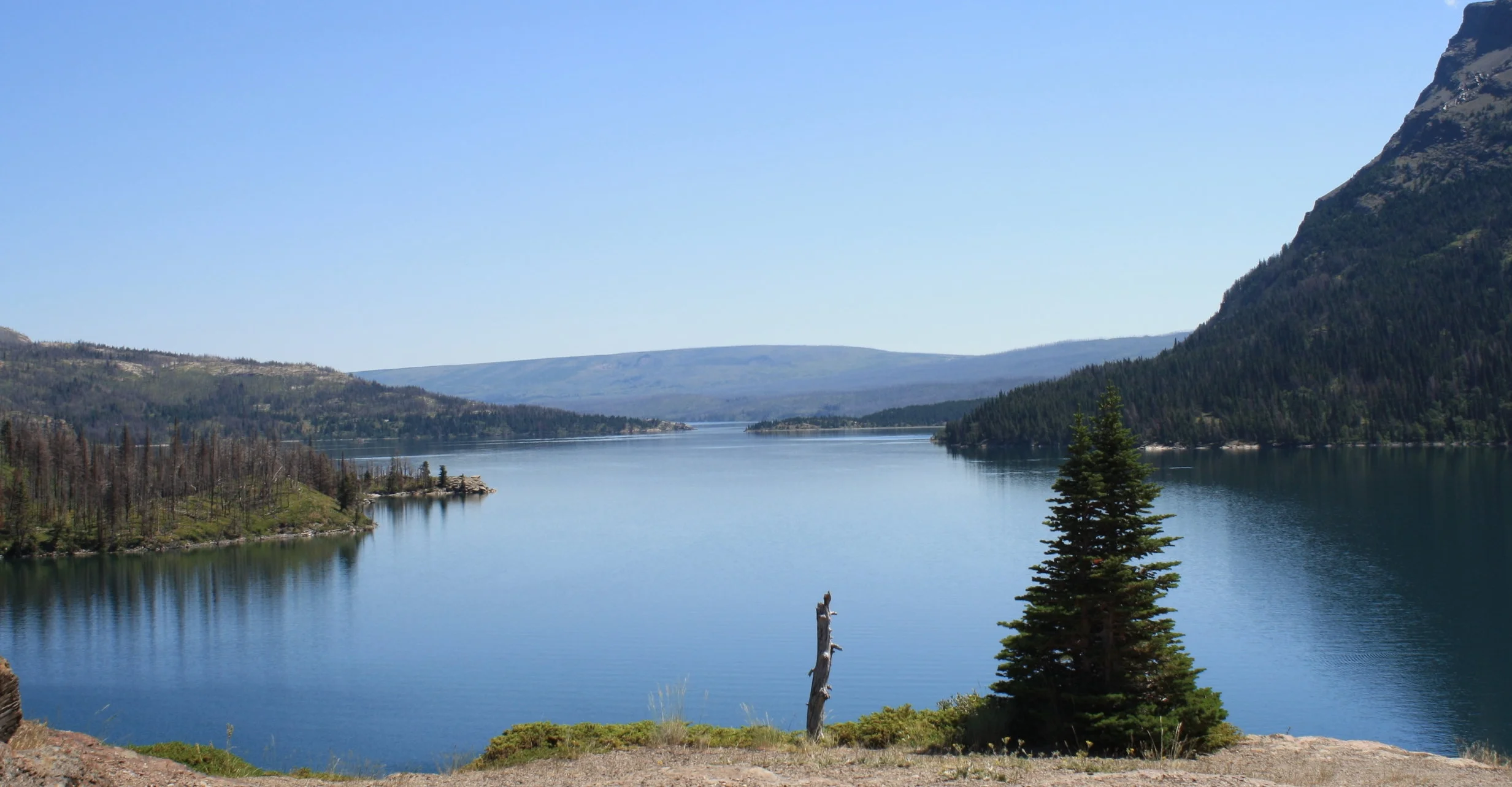 Road Trippin' Abell Style