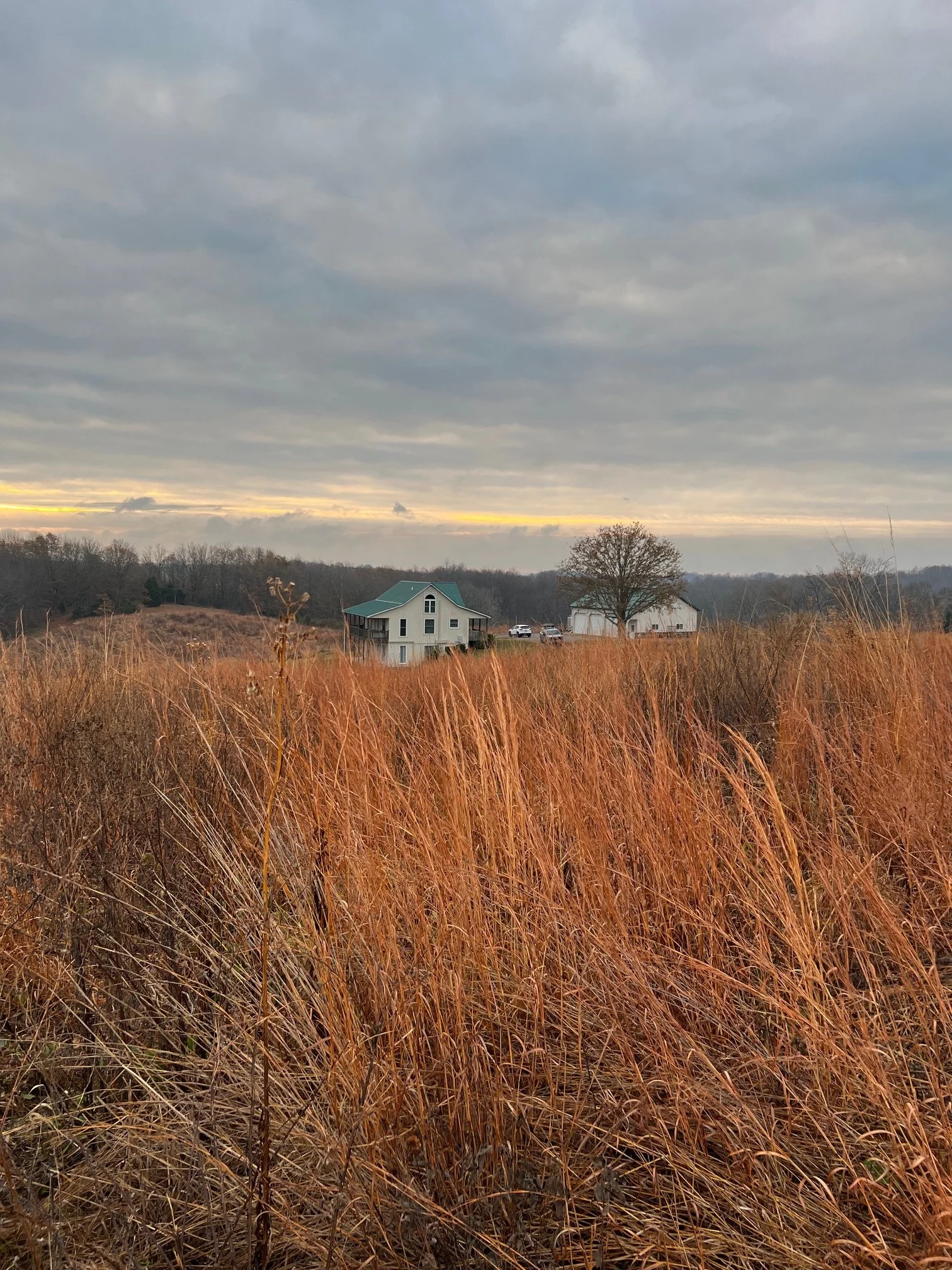 IMG_1977.jpeg