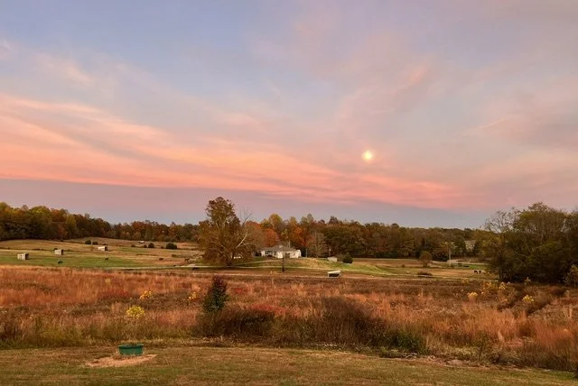 Horsefarm View.jpeg
