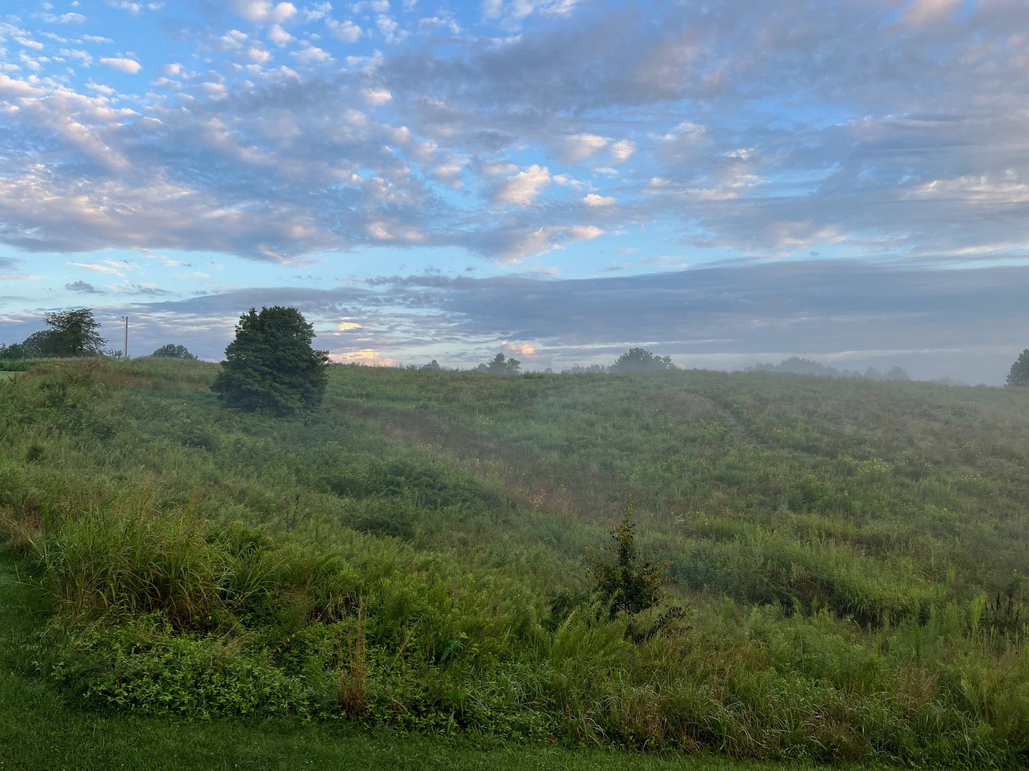 IMG_1414.jpeg