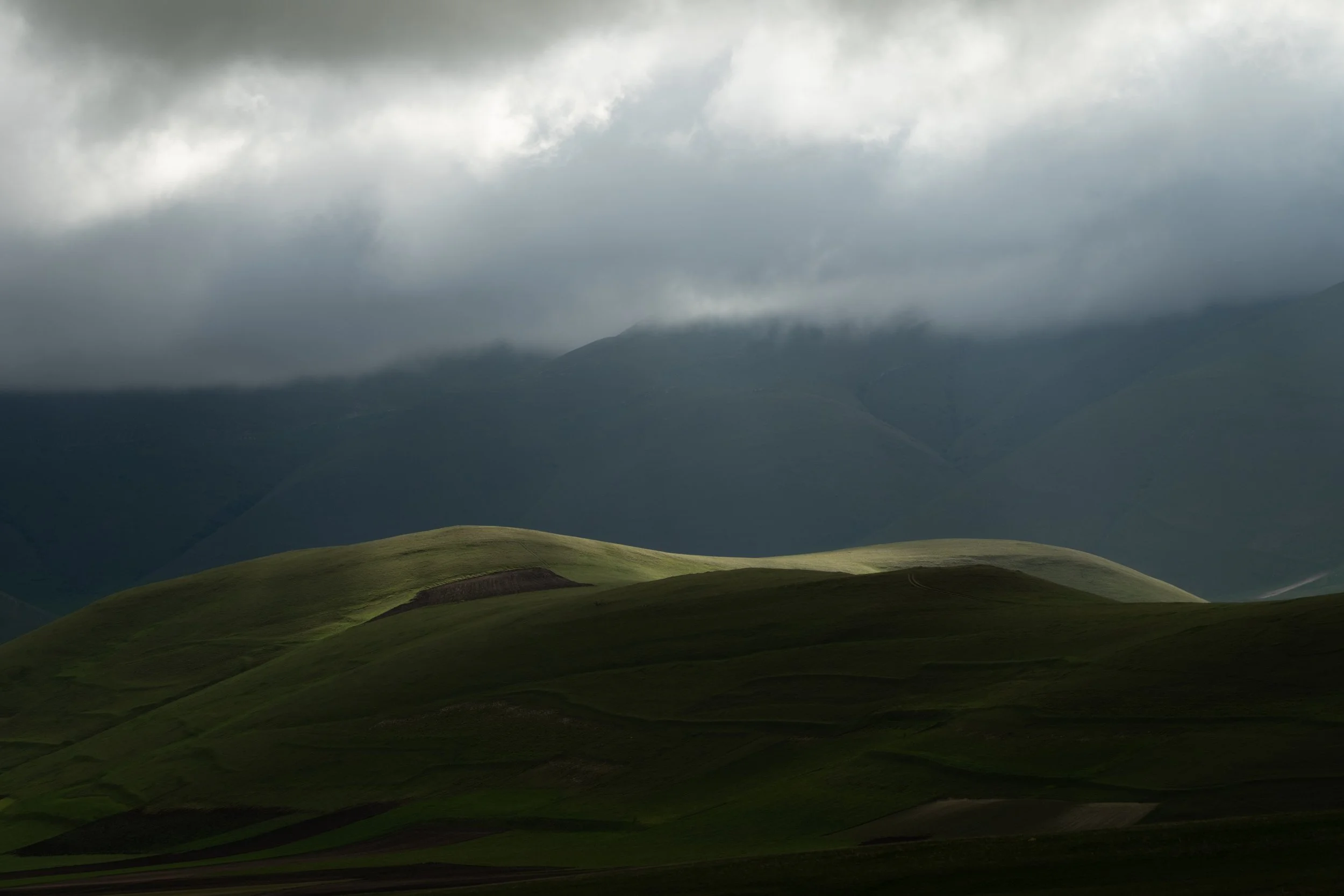 Castellucio Spring 2025-101.jpg