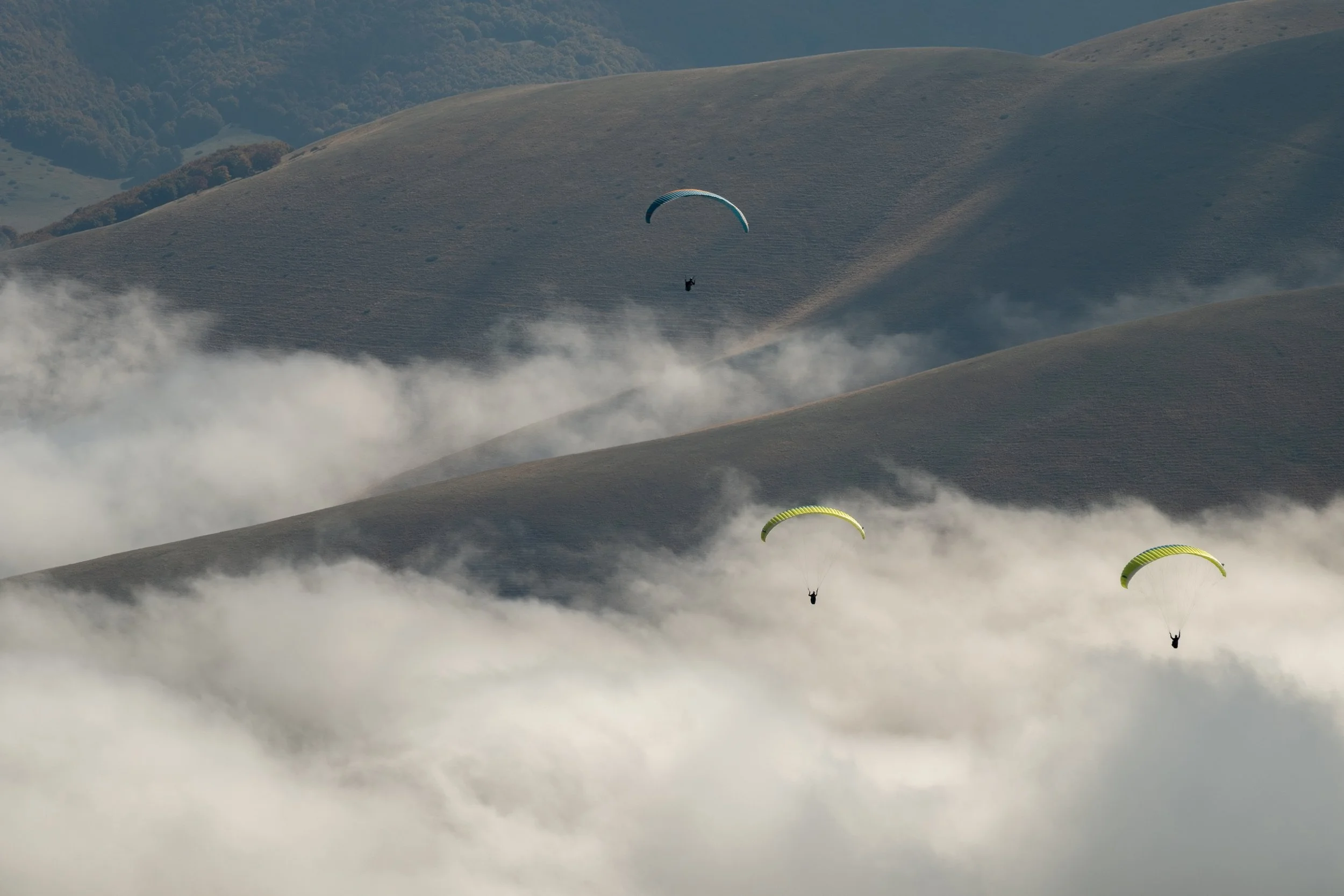 DSCF2830.jpg