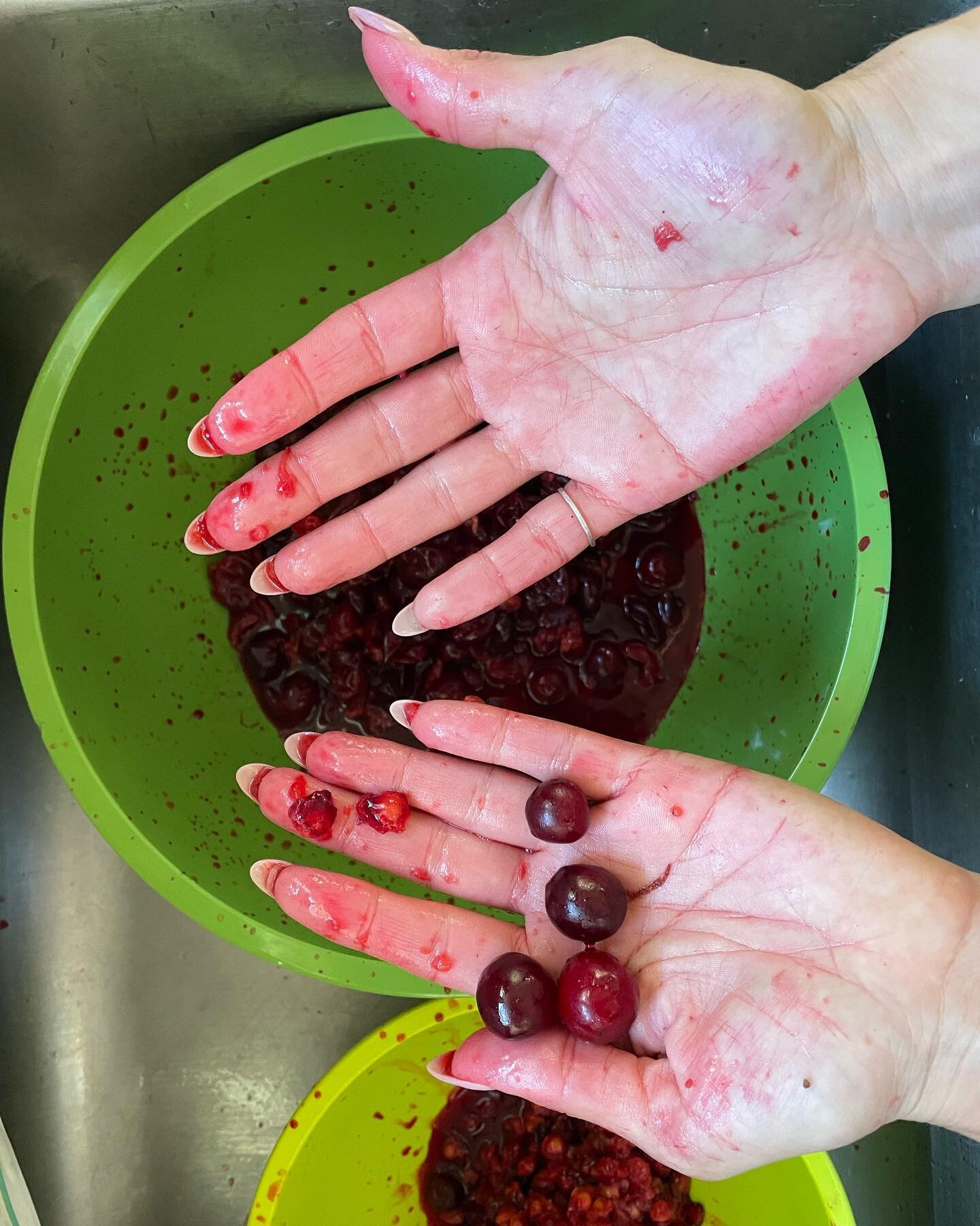 tart cherries 🍒 

#cherries #tart #hands #learningbyhand #buildyourskills #yum