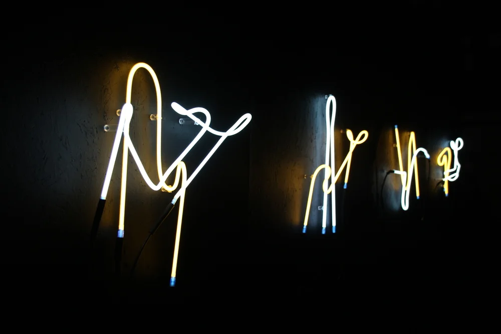 INTERTWINED SOLO SHOW